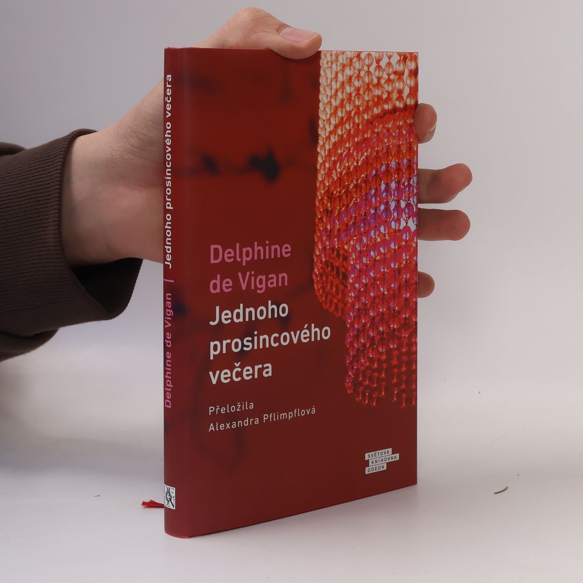 Delphine de Vigan Jednoho prosincového večera