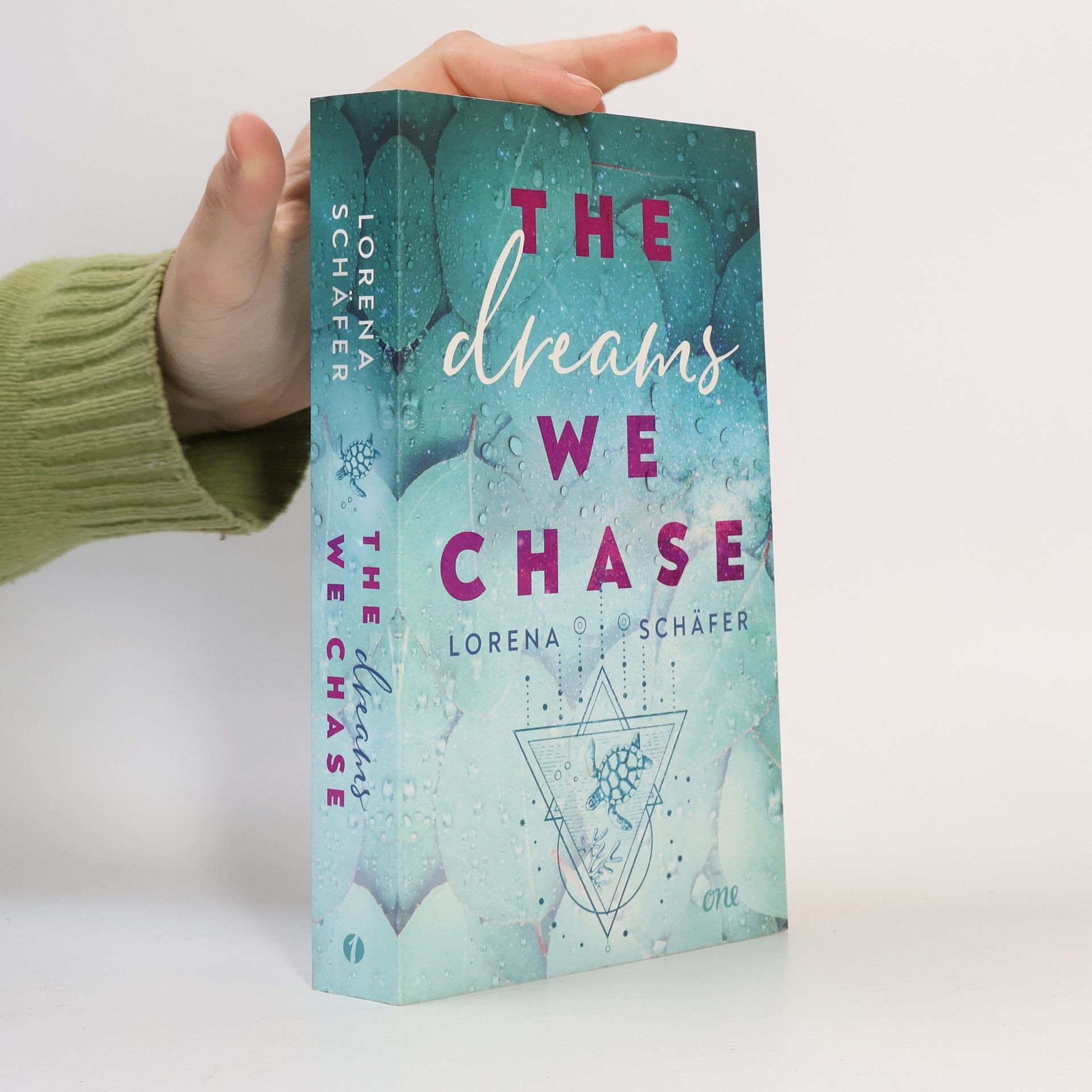 Lorena Schäfer The dreams we chase - Emerald Bay, Band 3