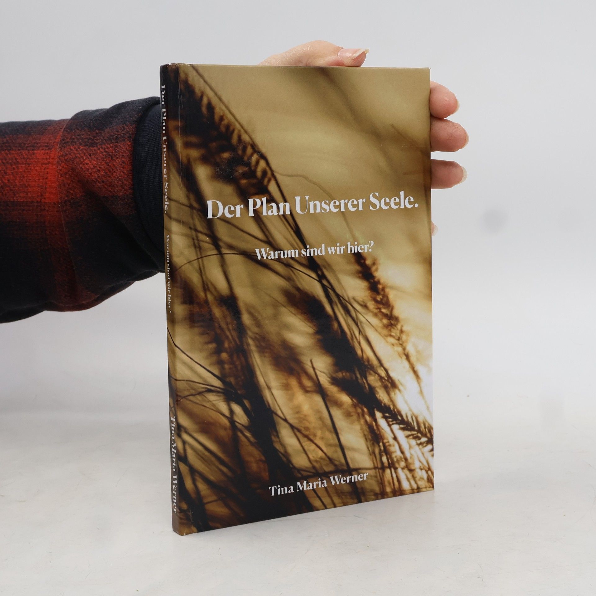 Tina Maria Werner Der Plan unserer Seele