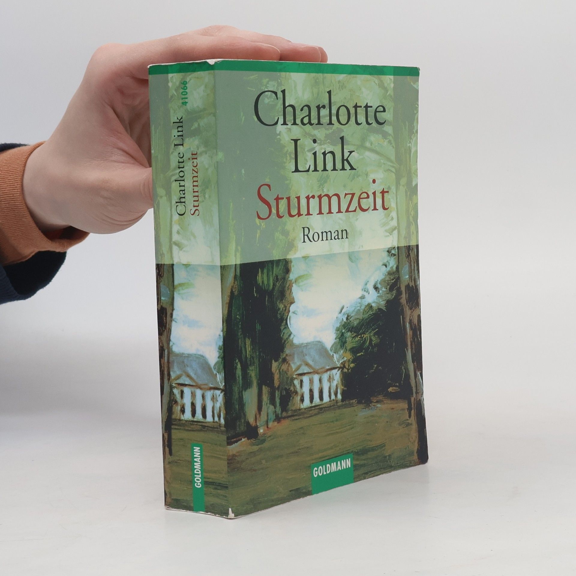 Charlotte Link Sturmzeit