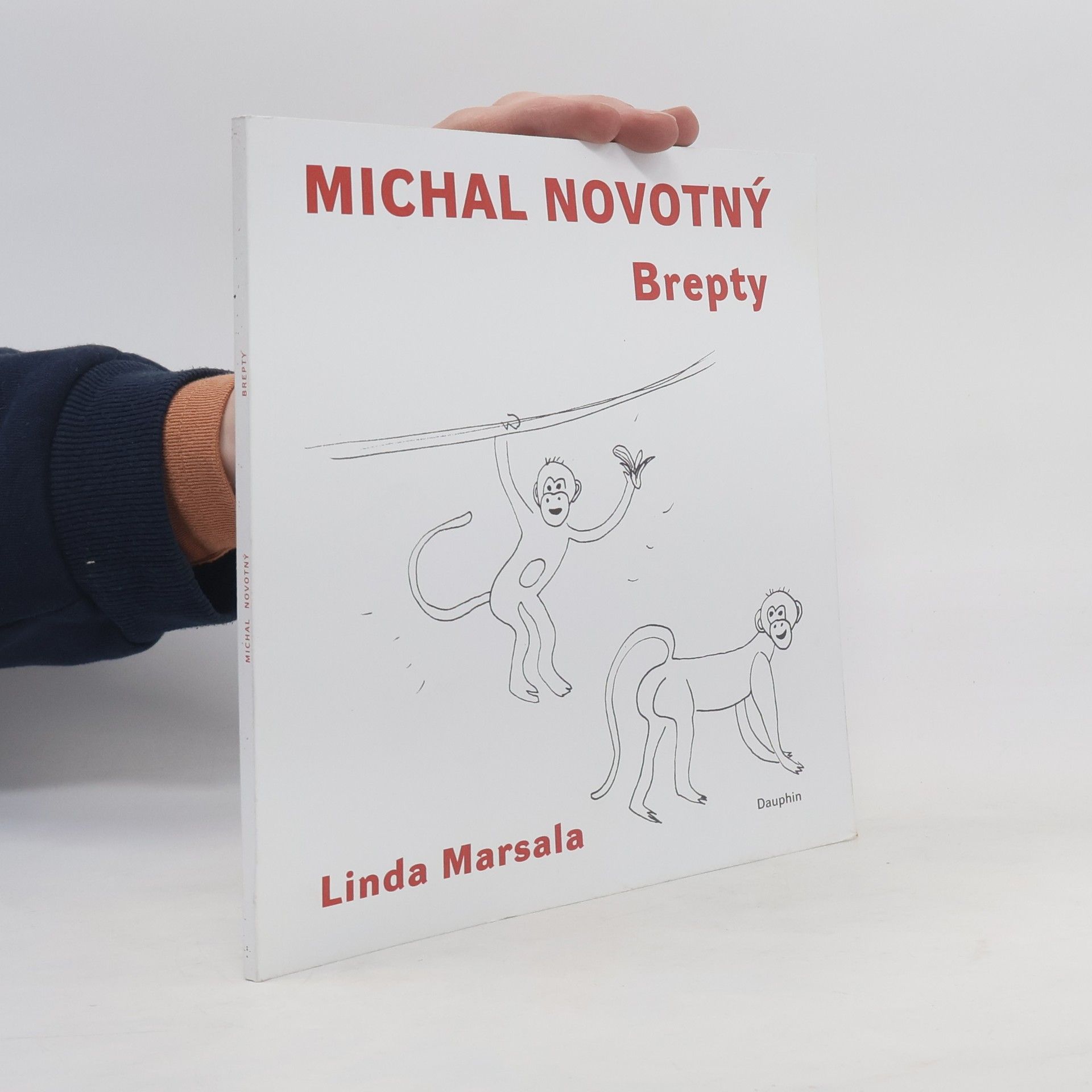 Michal Novotný Brepty