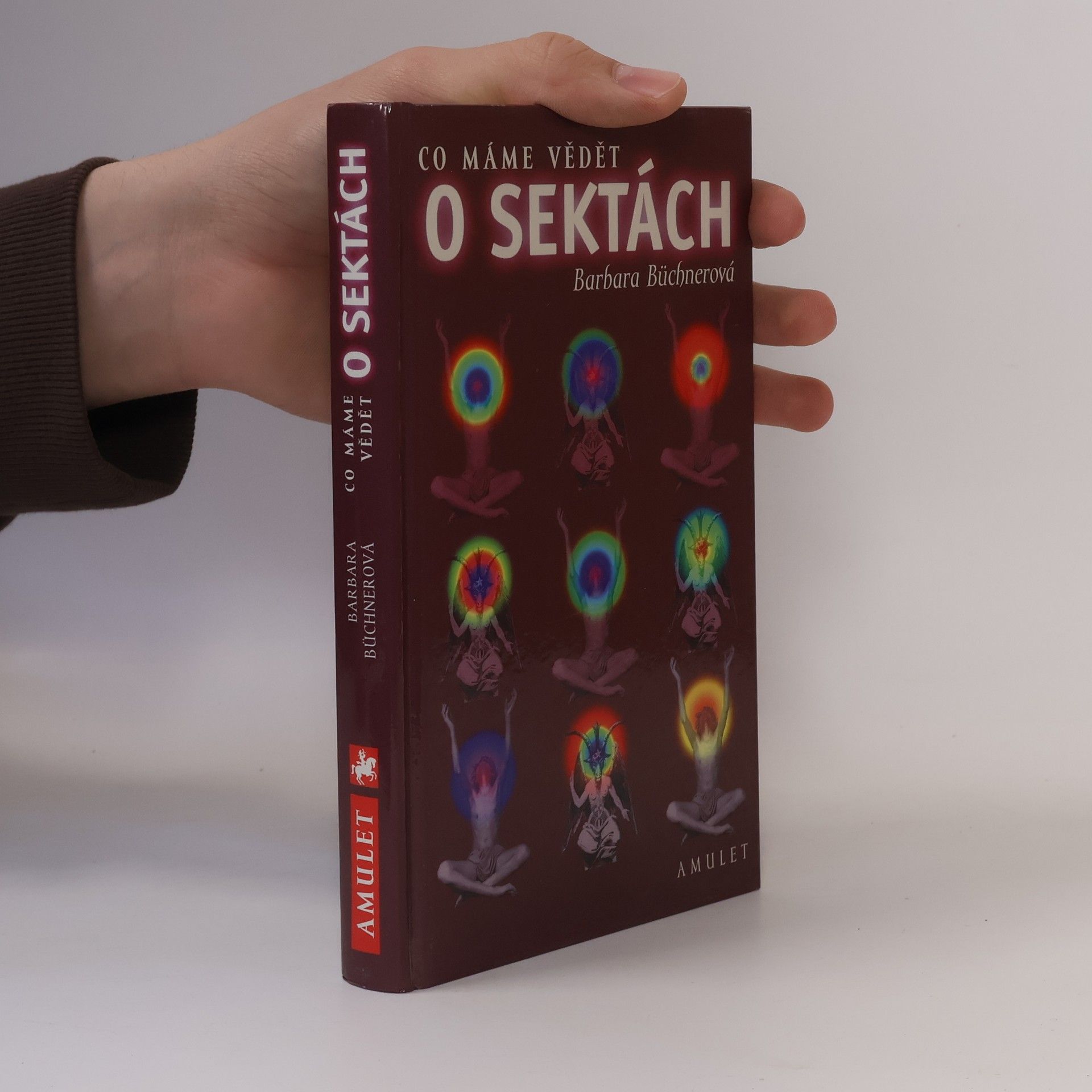 Barbara Büchner Co máme vědět o sektách