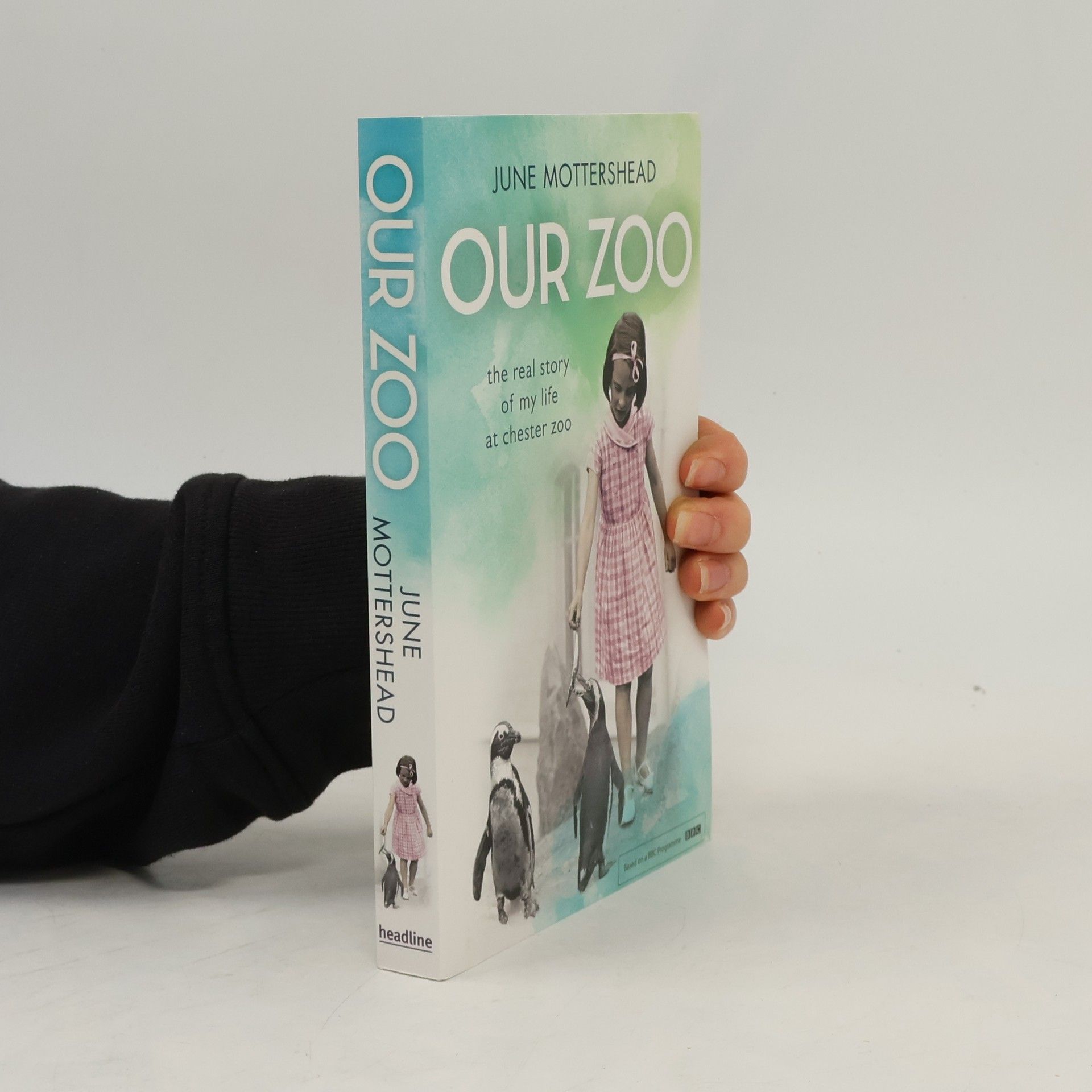 June Mottershead Our Zoo