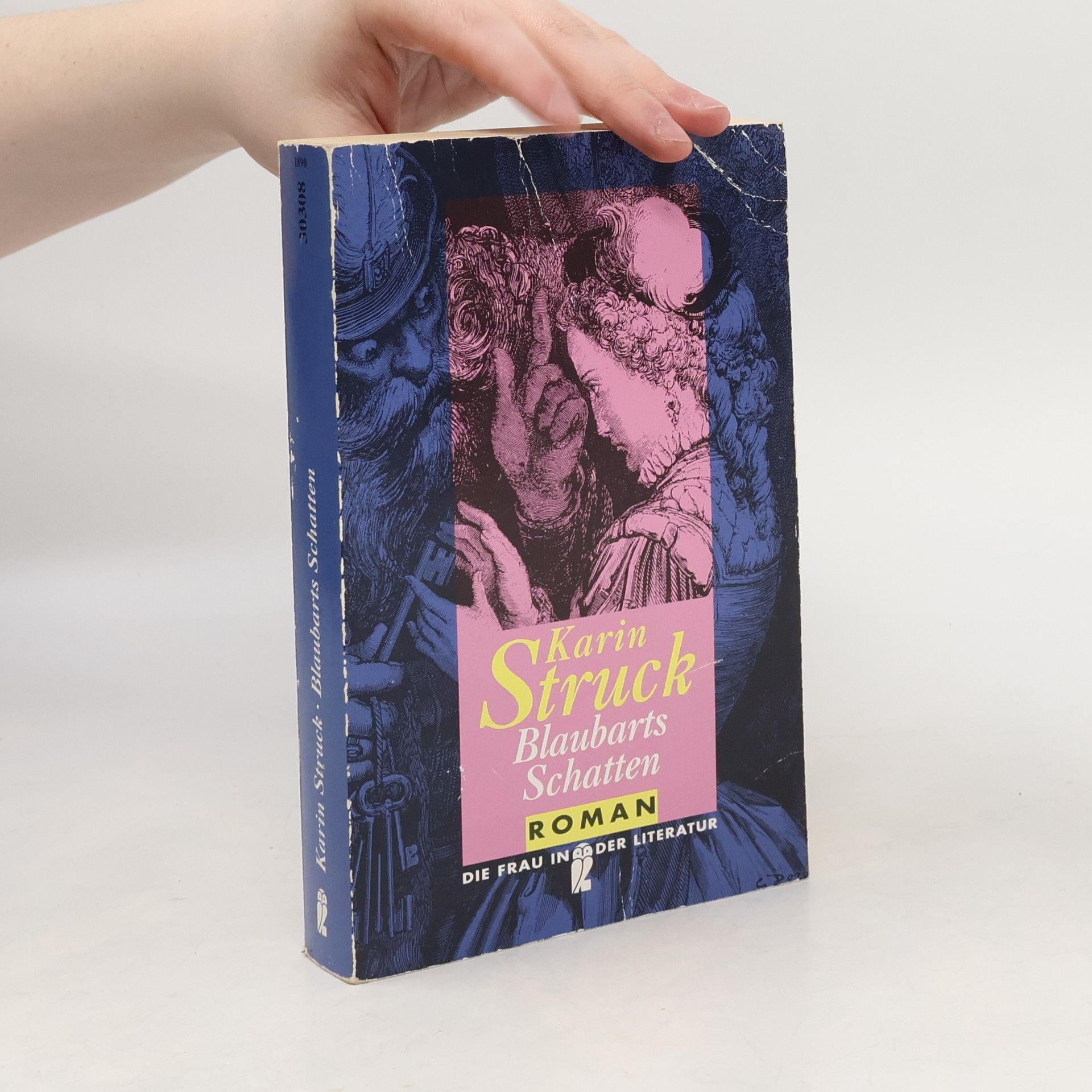 Karin Struck Blaubarts Schatten
