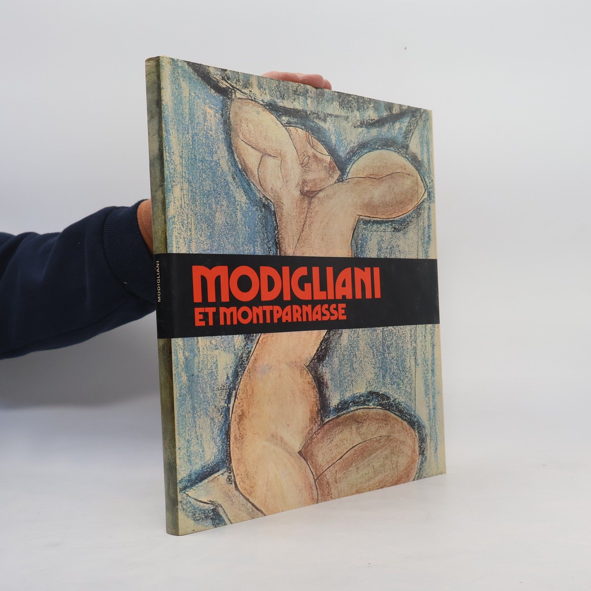 Roger van Gindertael Modigliani et Montparnasse