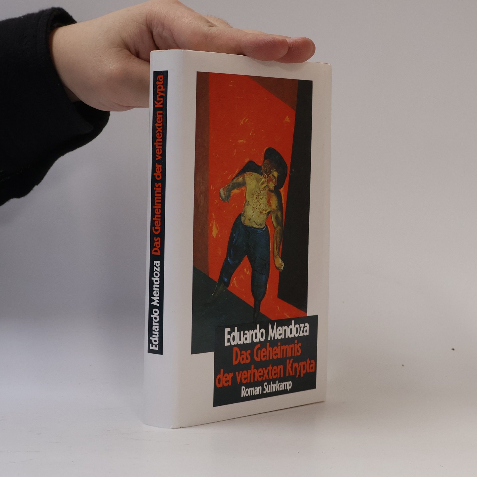 Eduardo Mendoza Garriga Das Geheimnis der verhexten Krypta