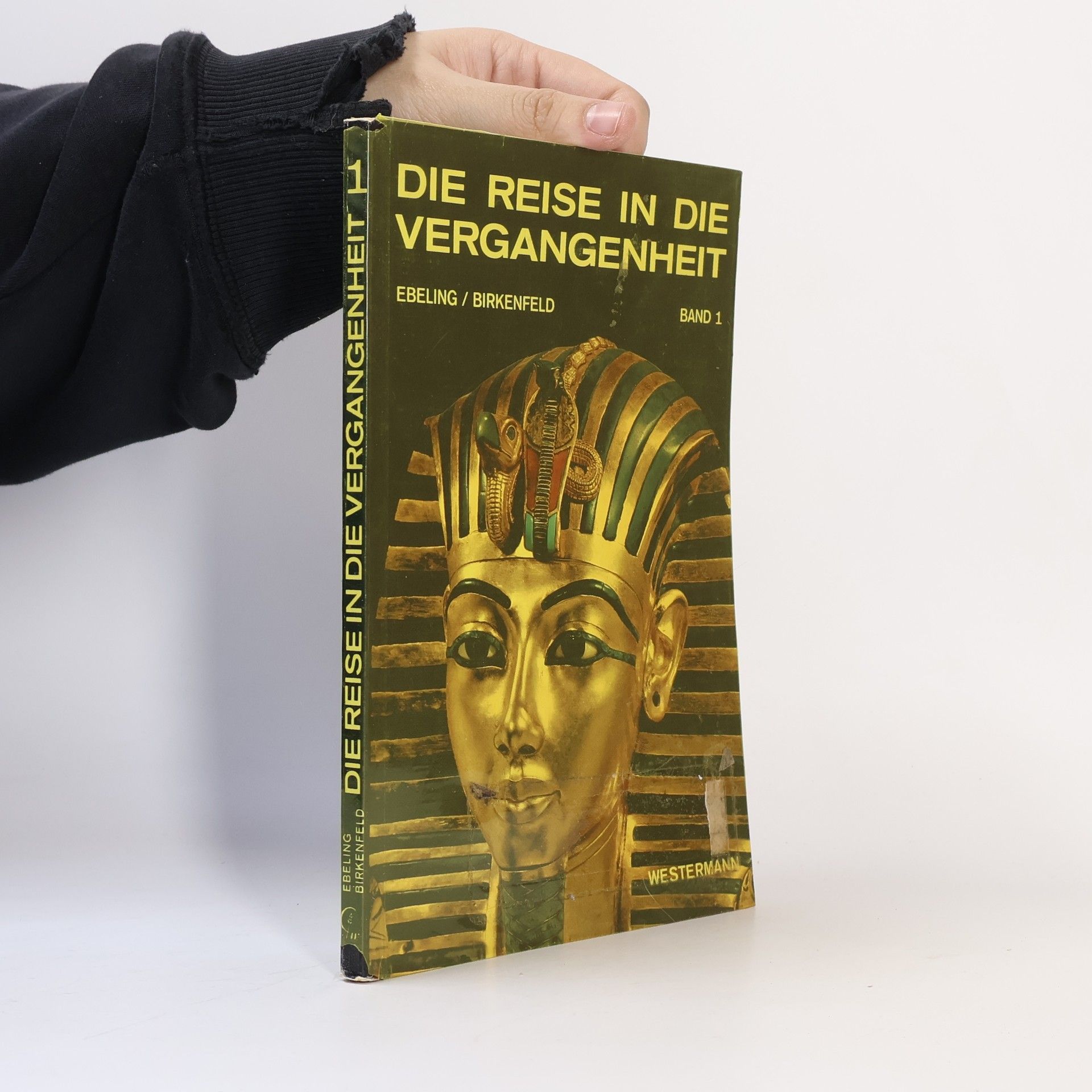 Hans Ebeling Die Reise in die Vergangenheit 1