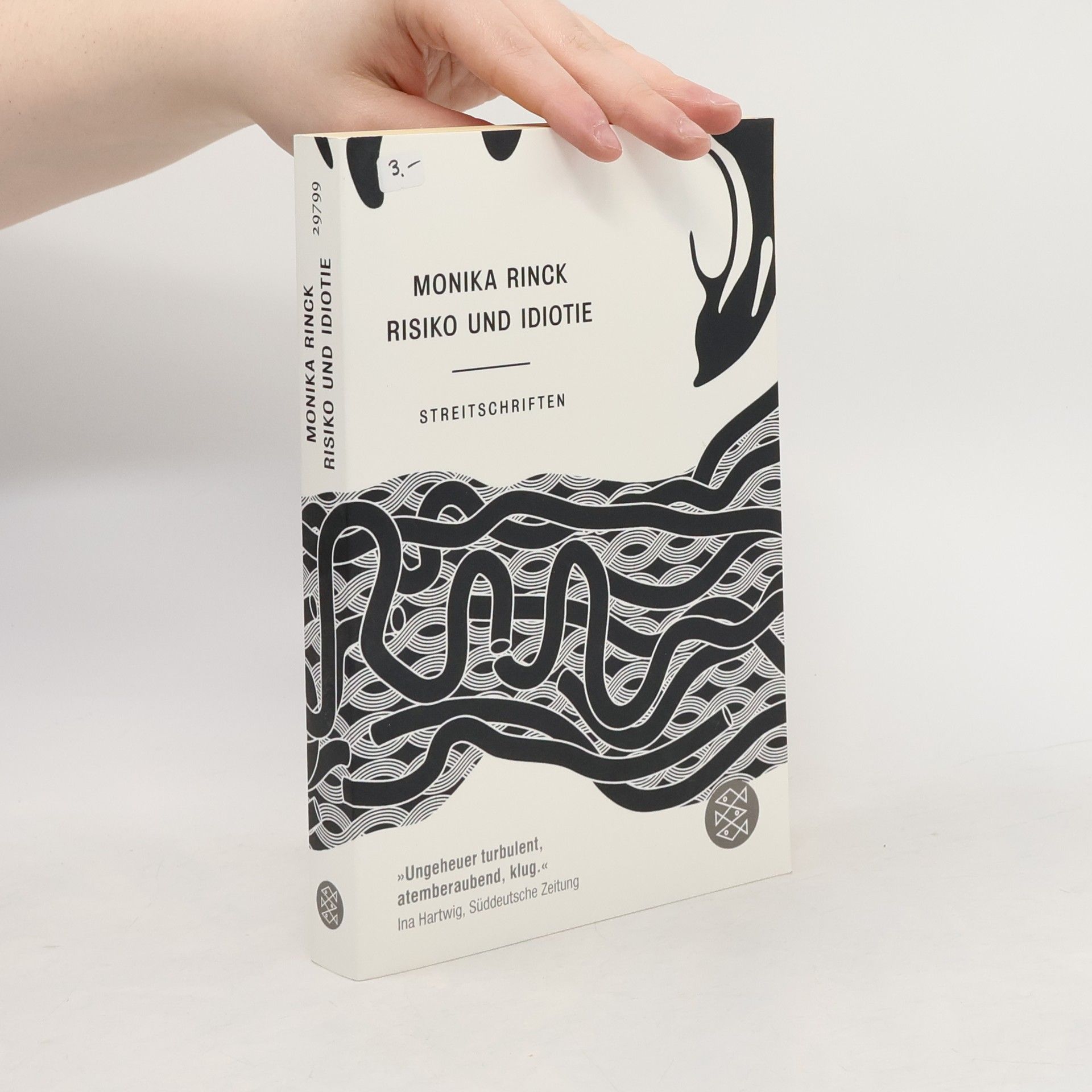 Monika Rinck Risiko und Idiotie