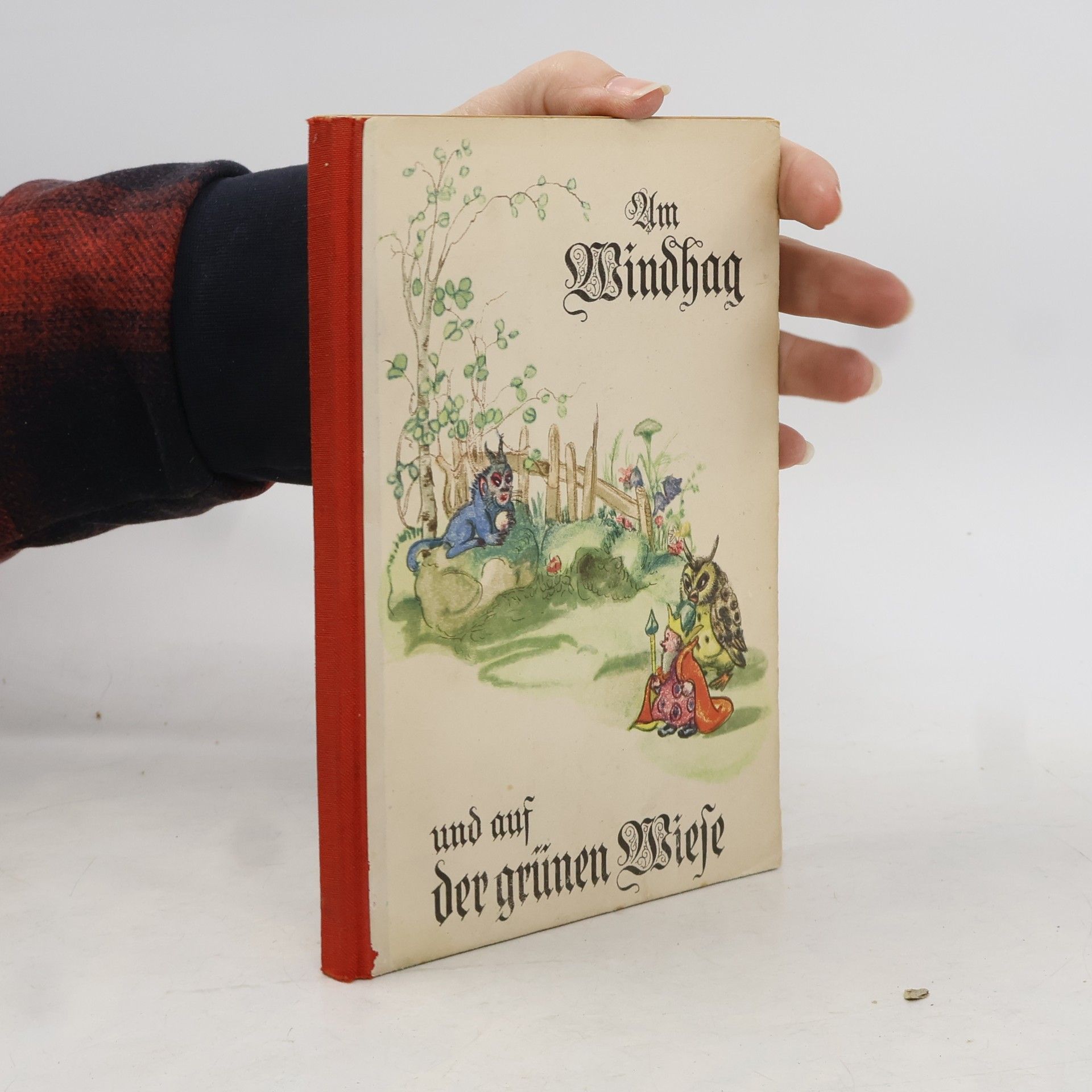 Autorenkollektiv Am Windhag und auf der grünen Wiese