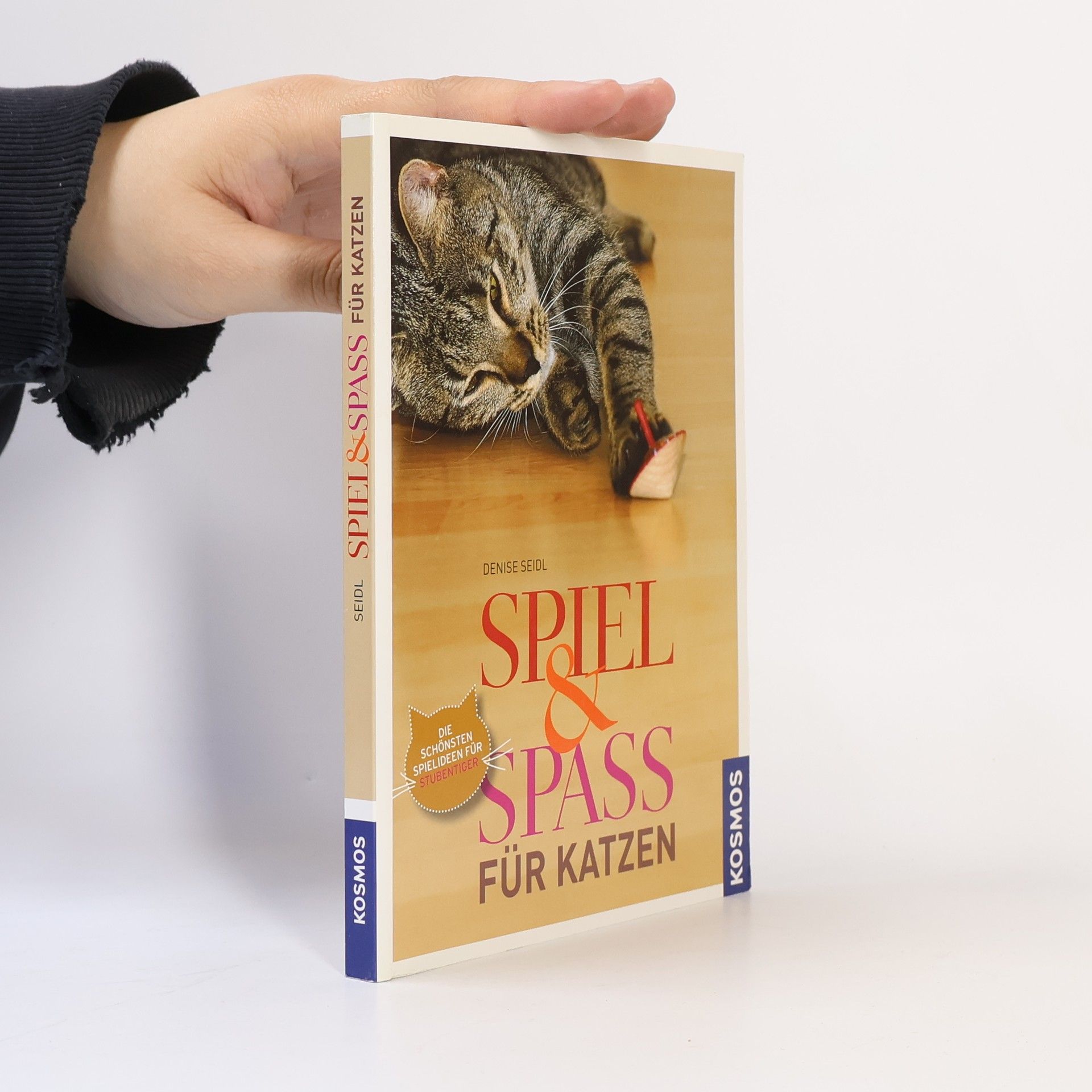 Denise Seidl Spiel & Spass für Katzen
