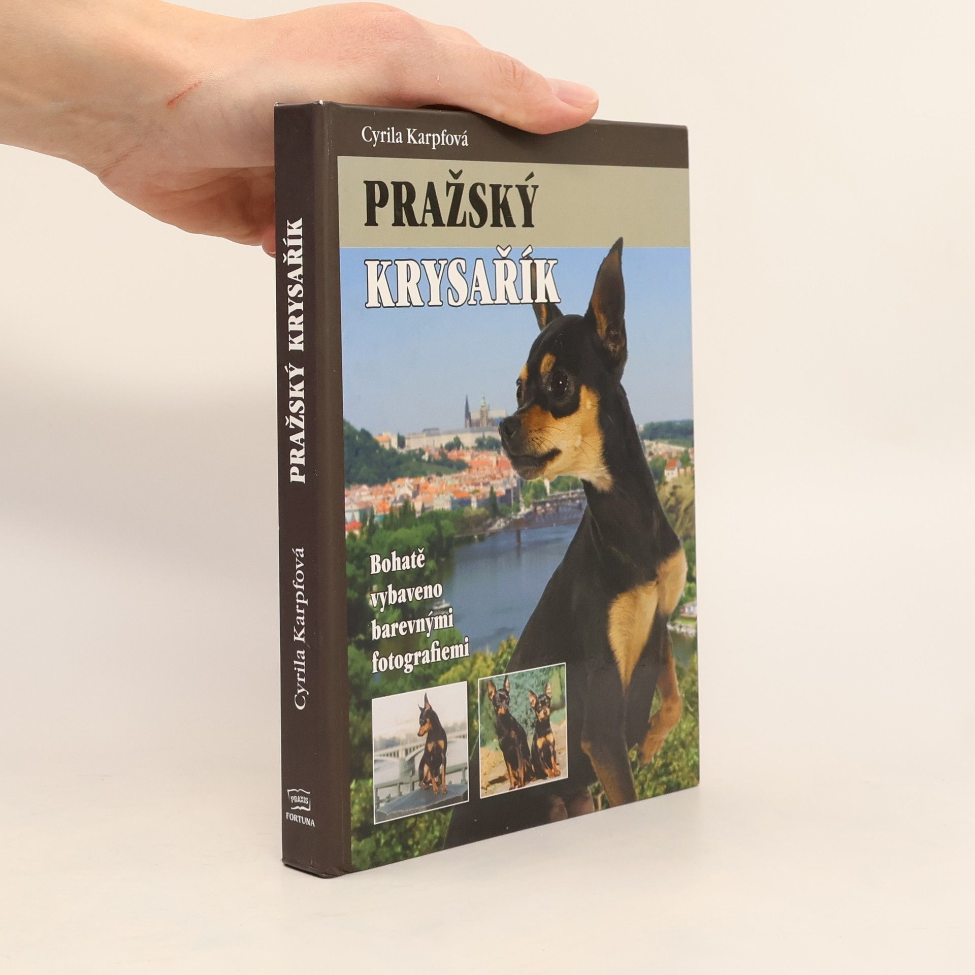 Pražský krysařík