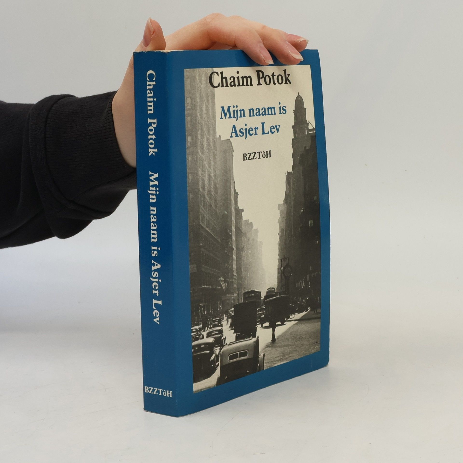 Chaim Potok Mijn naam is Asjer Lev