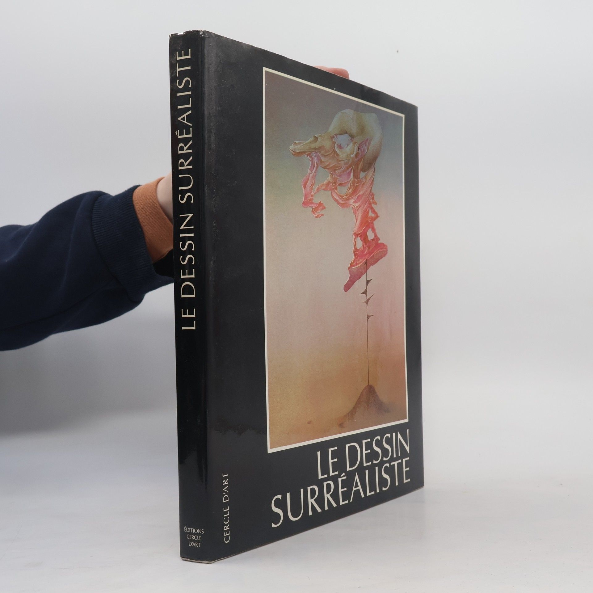 Kolektiv autorů Le dessin surréaliste