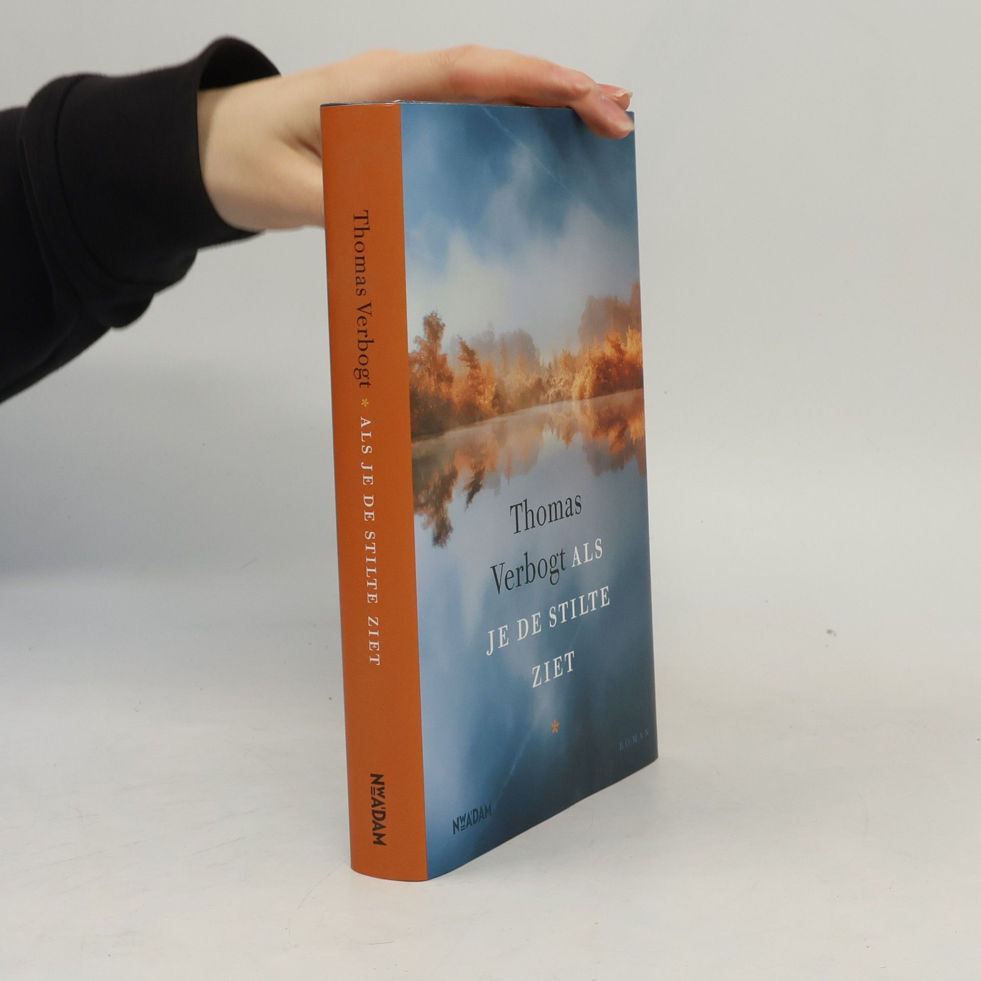 Als je de stilte ziet