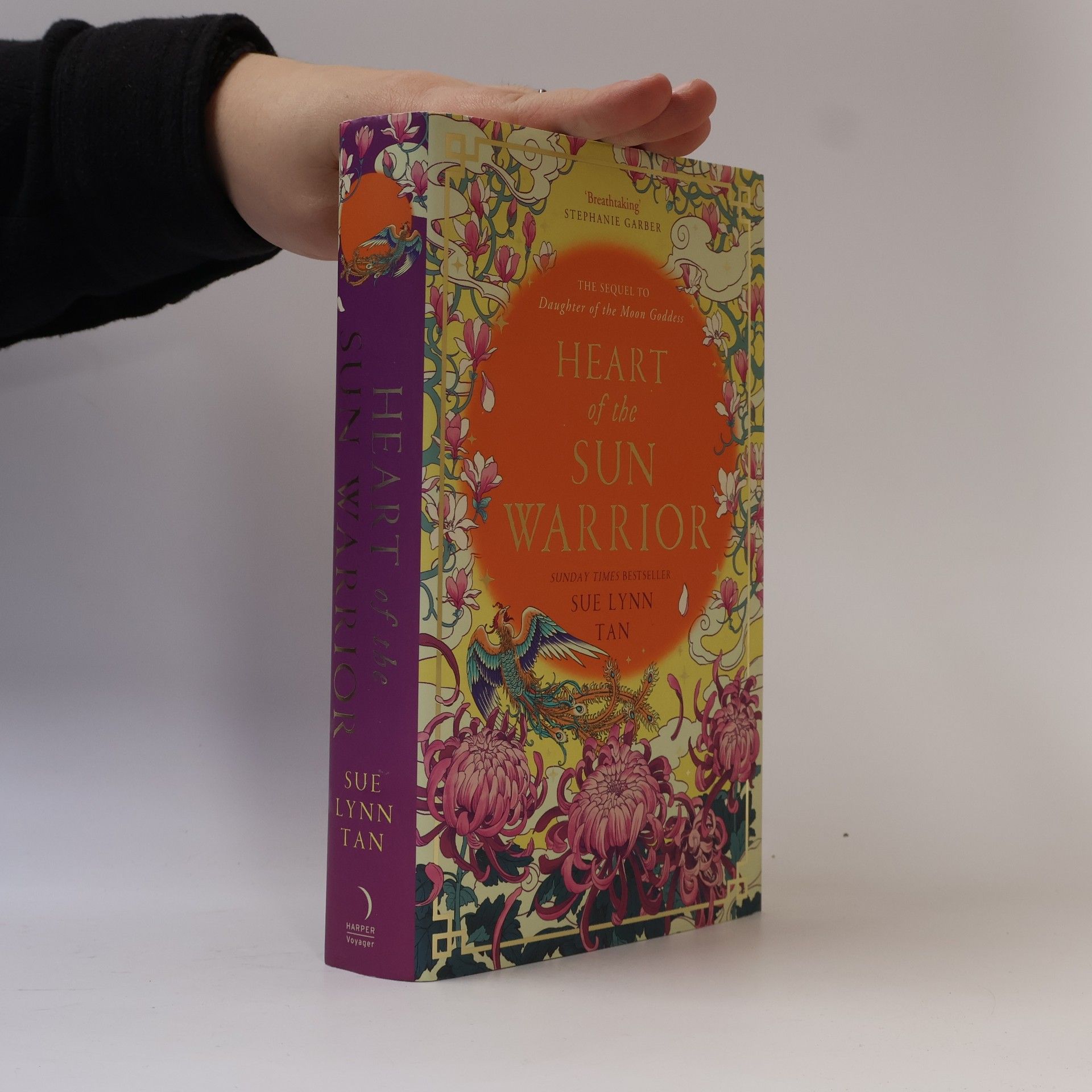 Heart of the sun warrior