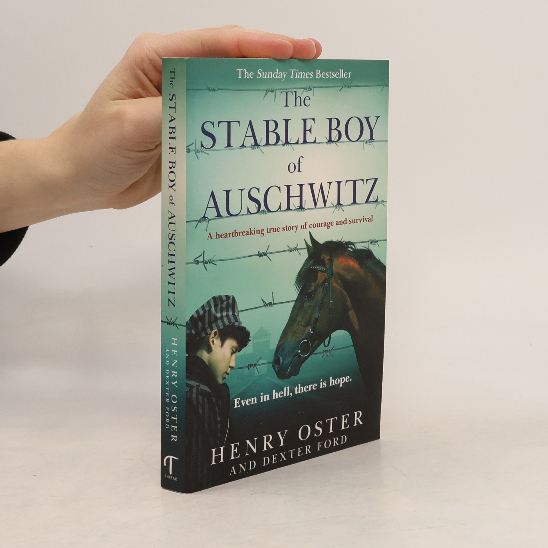 Ford Henry The Stable Boy of Auschwitz