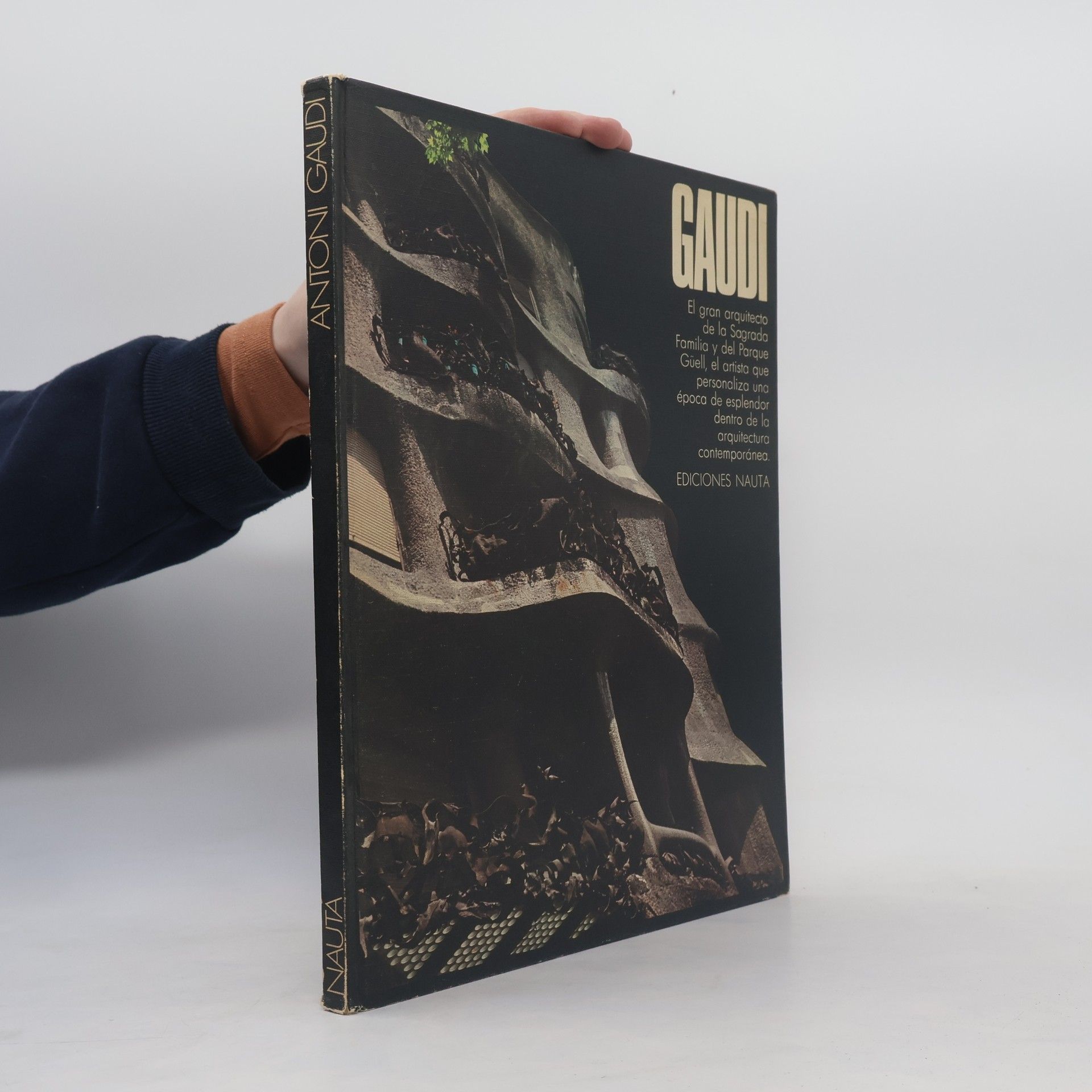 Kolektiv autorů Gaudi