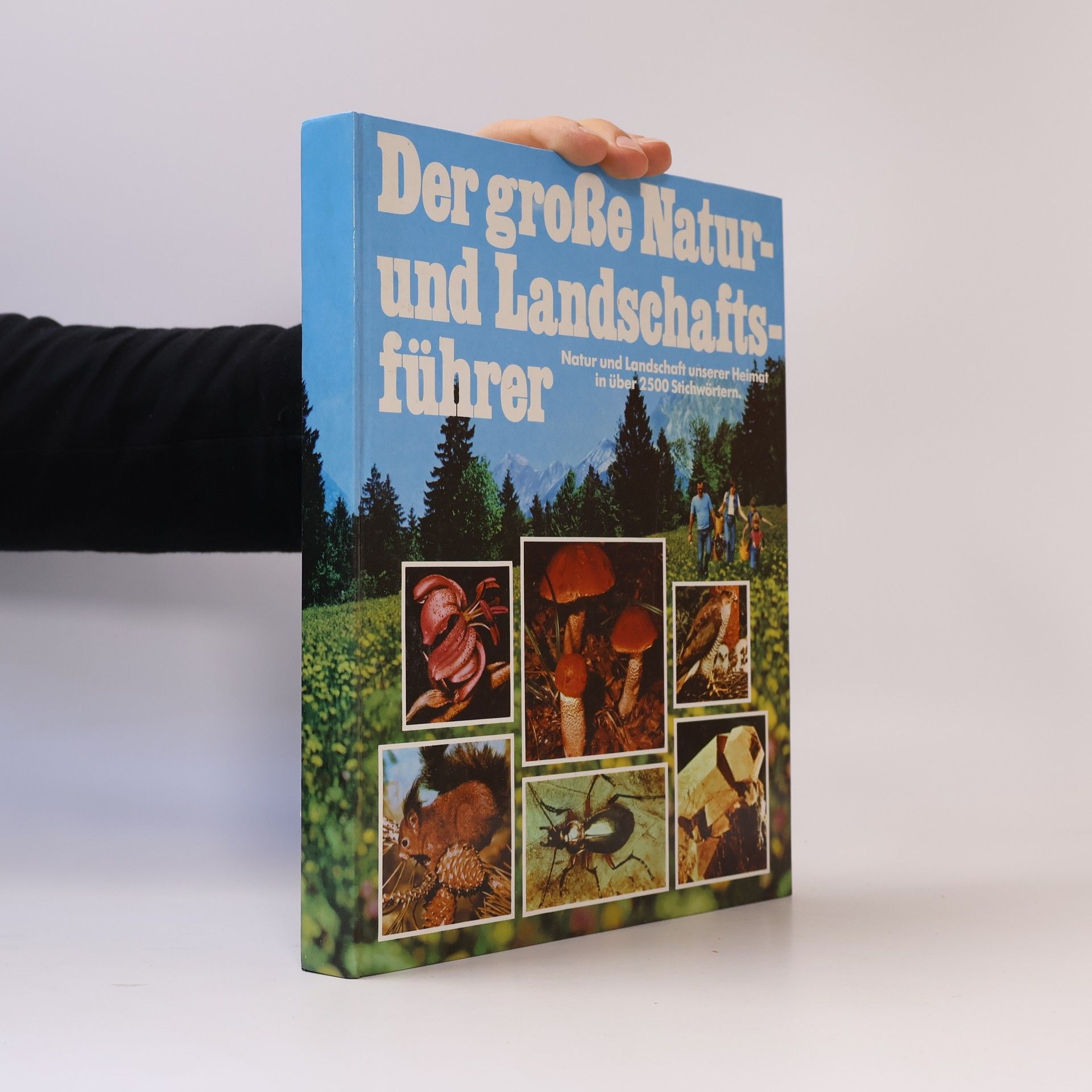 Autorenkollektiv Der große Natur und Landschafts führer