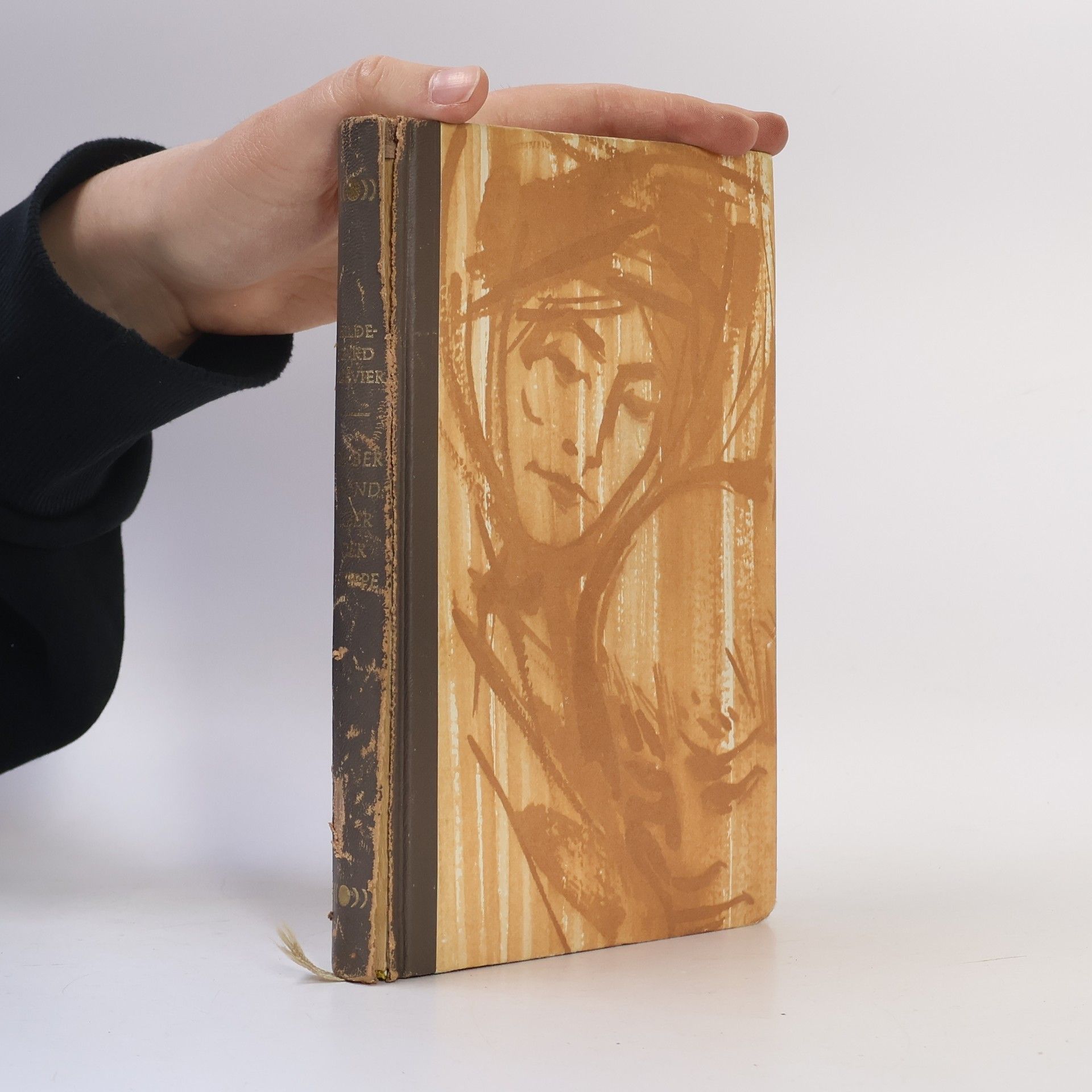 Gelber Mond über der Steppe