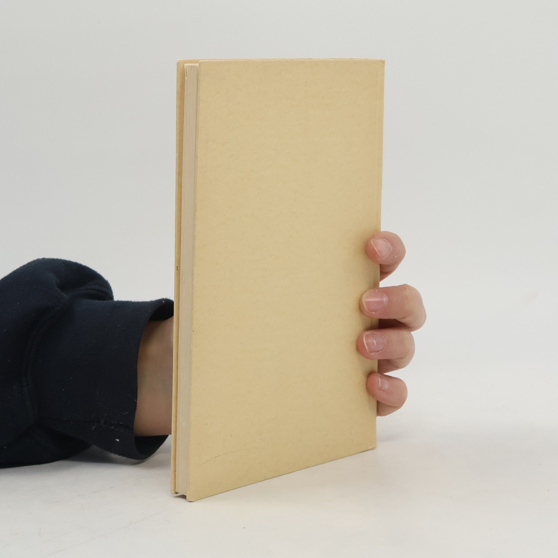Wilhelm Michael Treichlinger Die Wunder Indiens. Arabische Seemanngeschichten