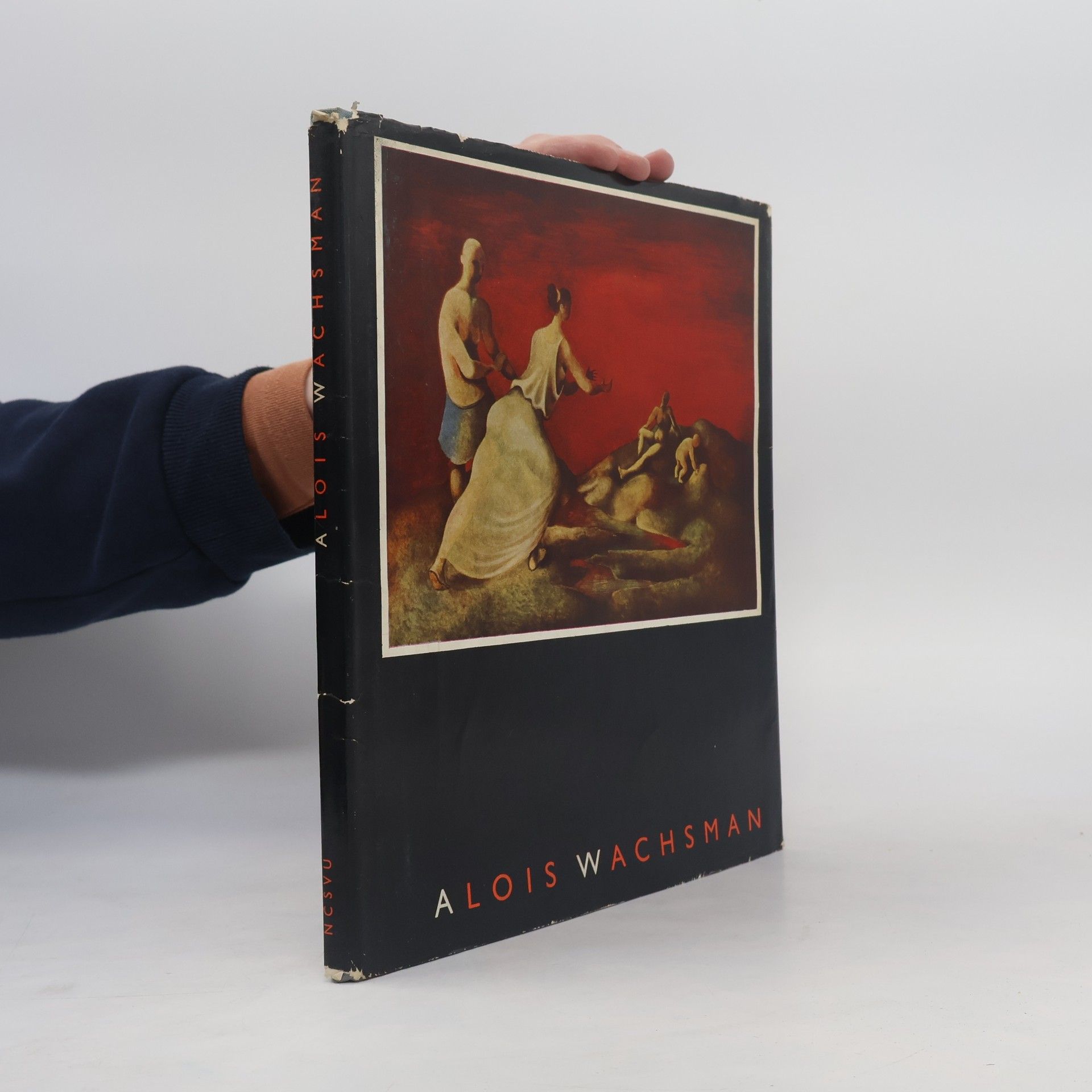 Jaromír Pečírka Alois Wachsman