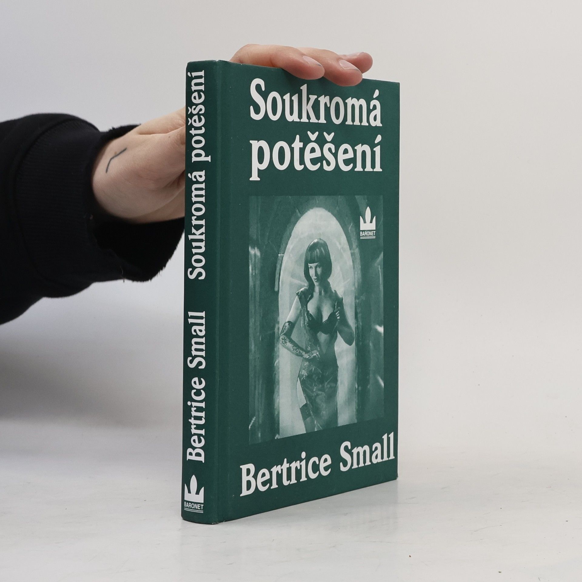 Bertrice Small Soukromá potěšení