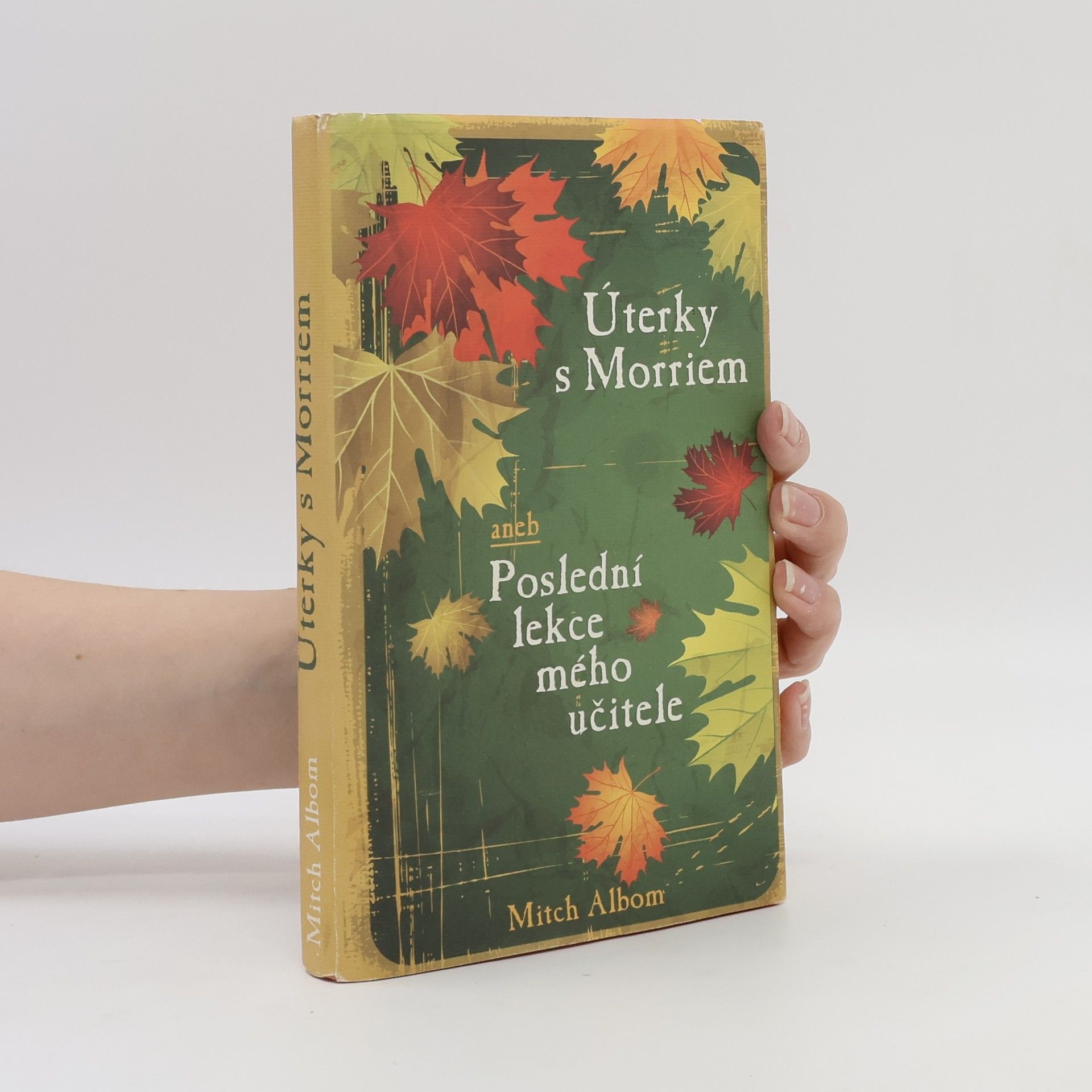 Mitch Albom Úterky s Morriem