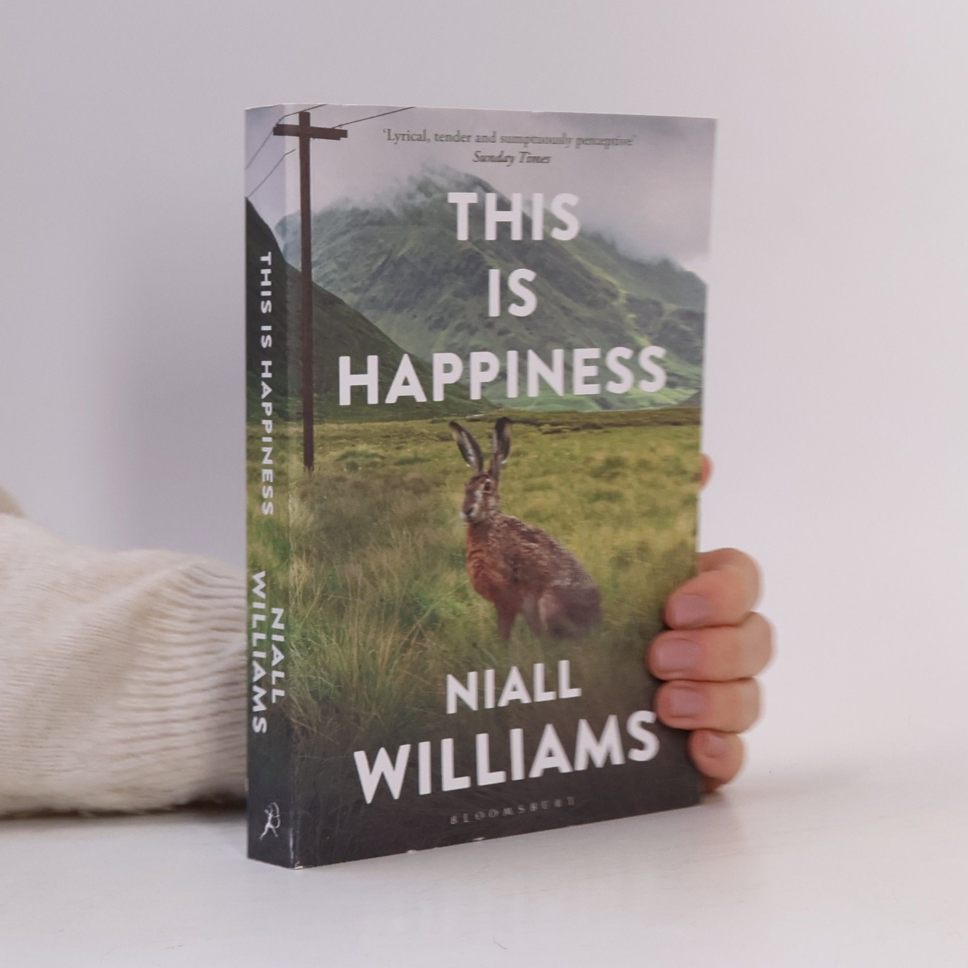 Niall Williams This is happiness
