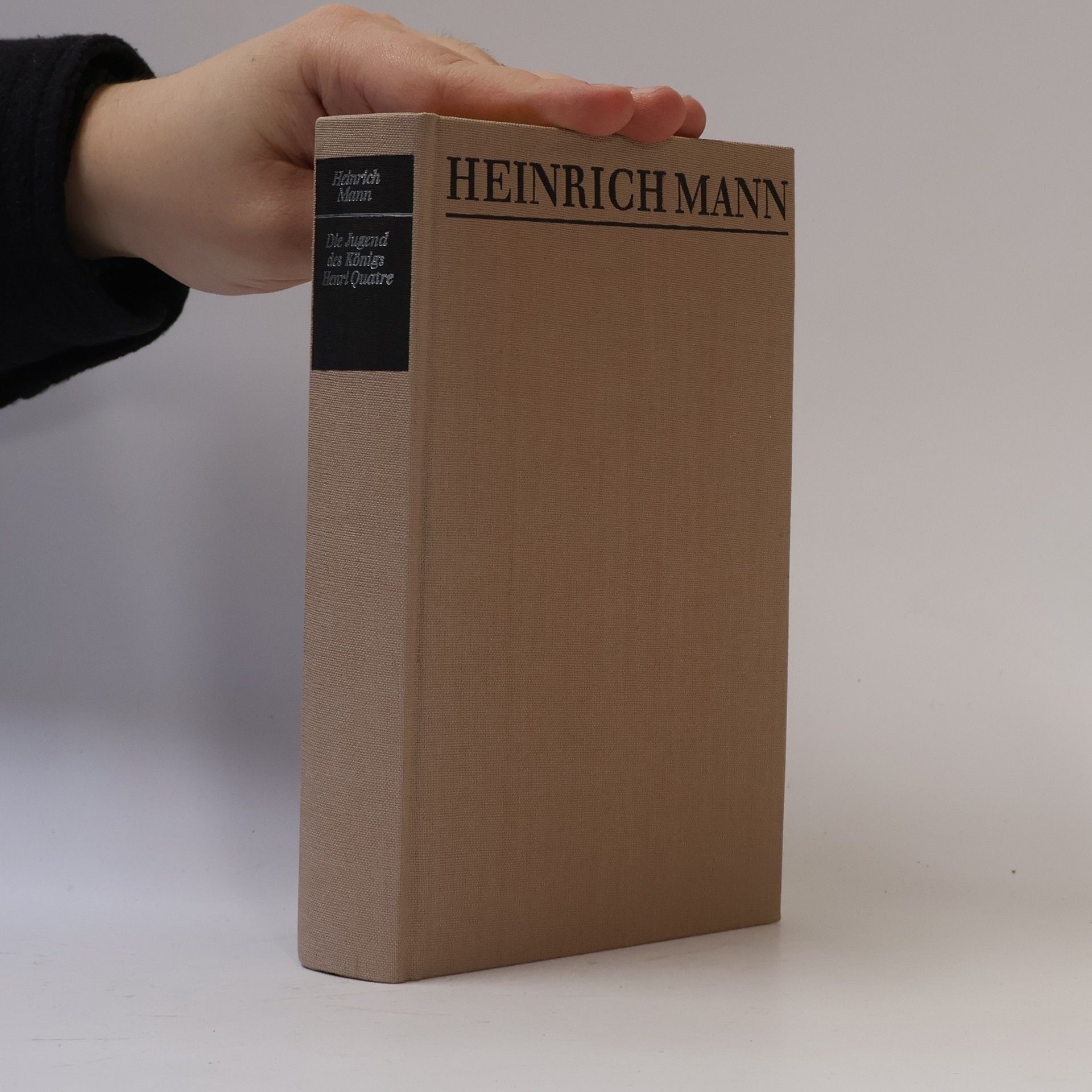 Heinrich Mann Die Jugend des Königs Henri Quatre