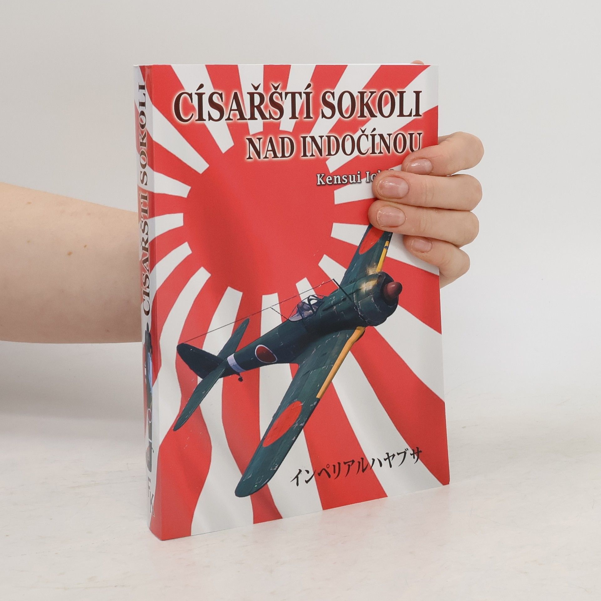 Kensui Ichikawa Císařští sokoli nad Indočínou