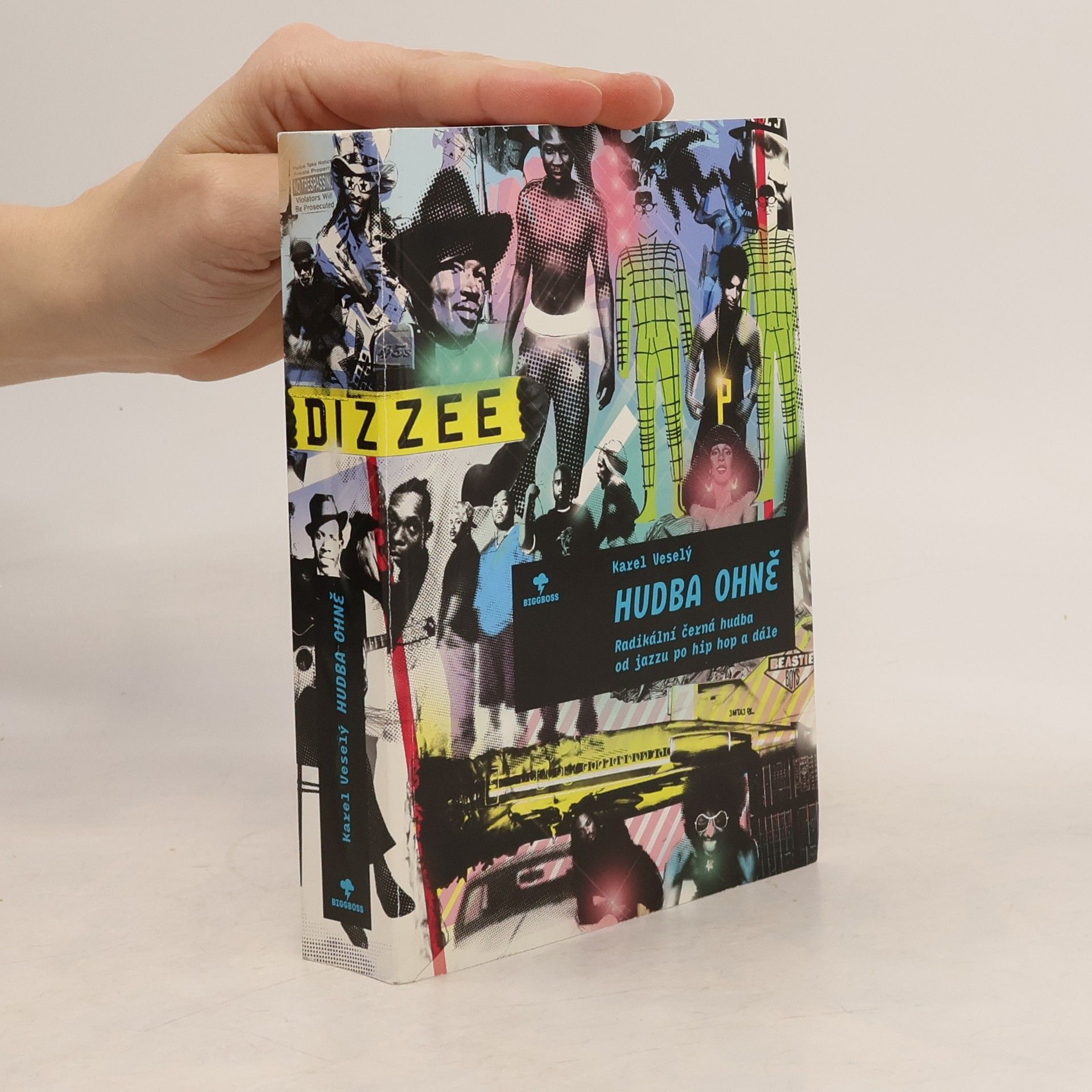 Karel Veselý Hudba ohně. Radikální černá hudba od jazzu po hip hop a dále