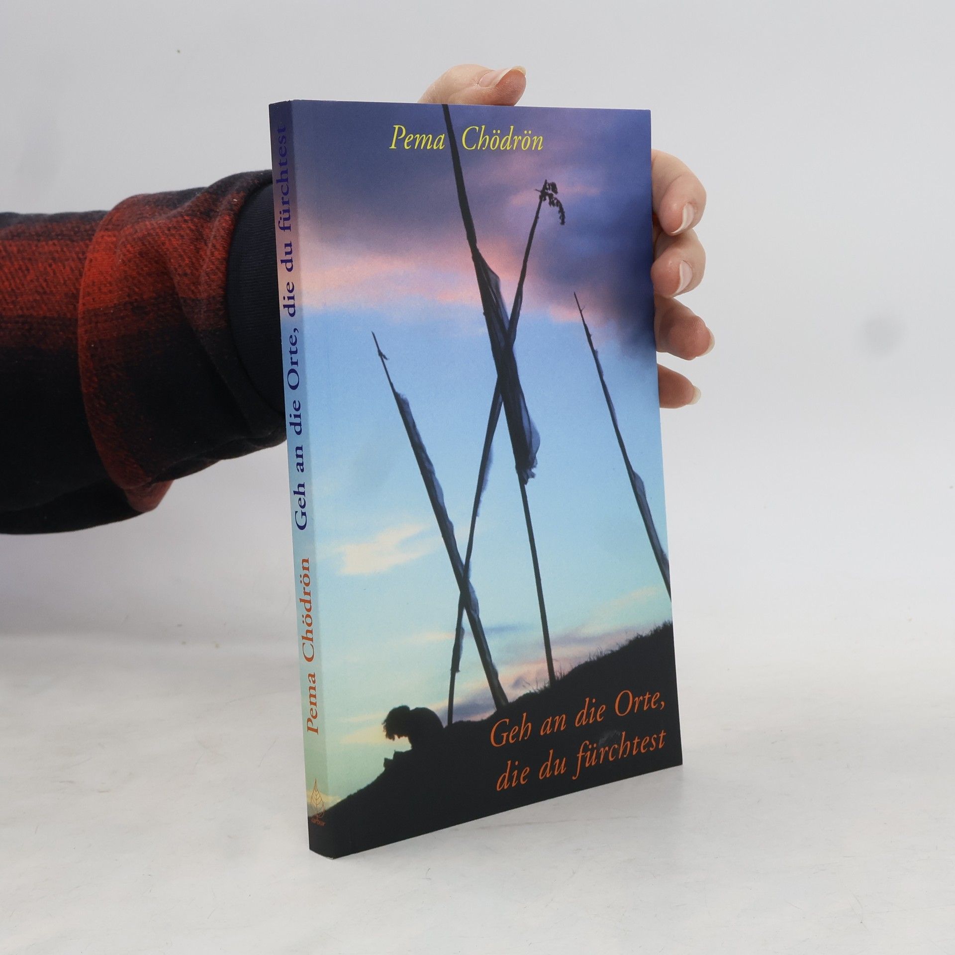Pema Chödrön Geh an die Orte, die du fürchtest
