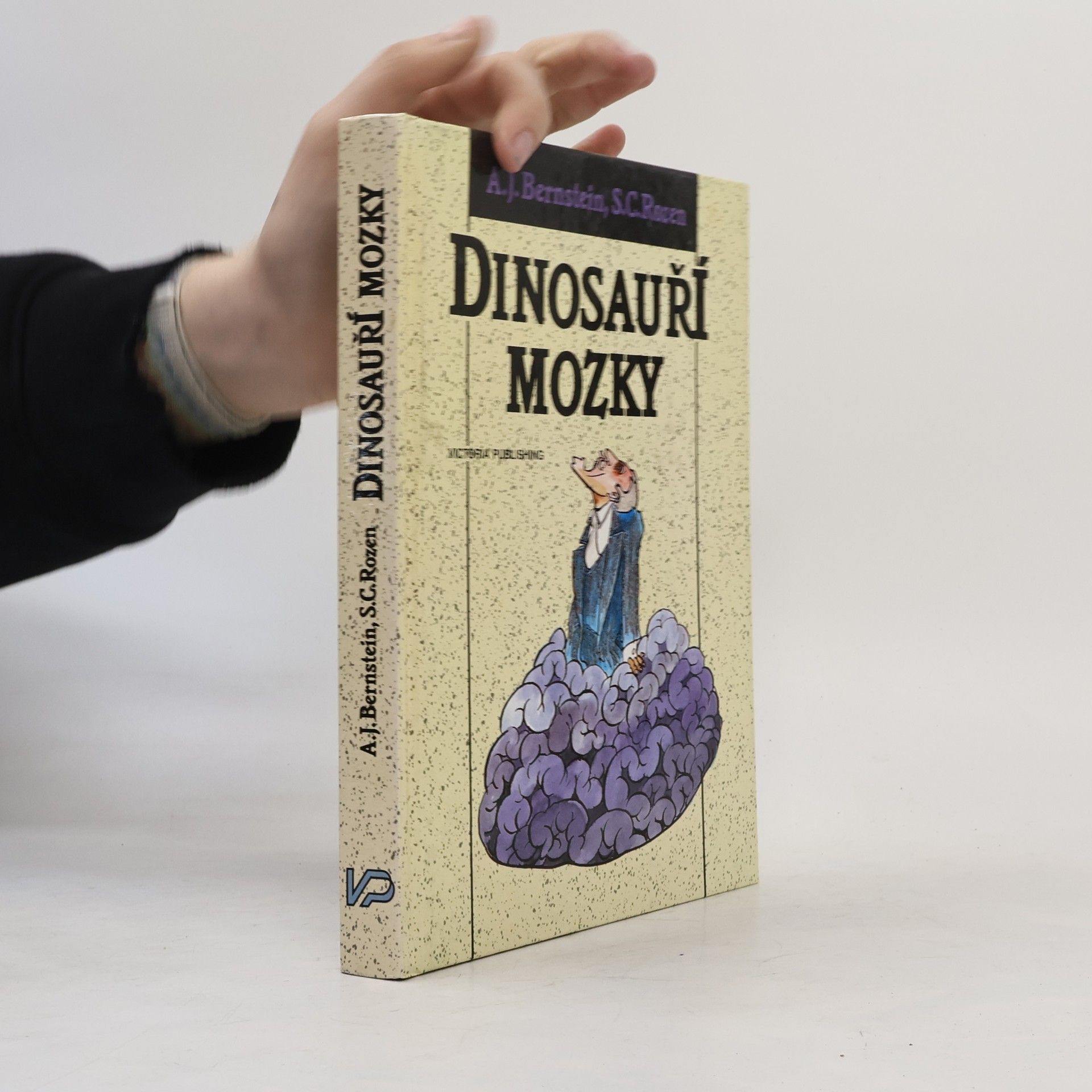 AJ Bernstein Dinosauří mozky
