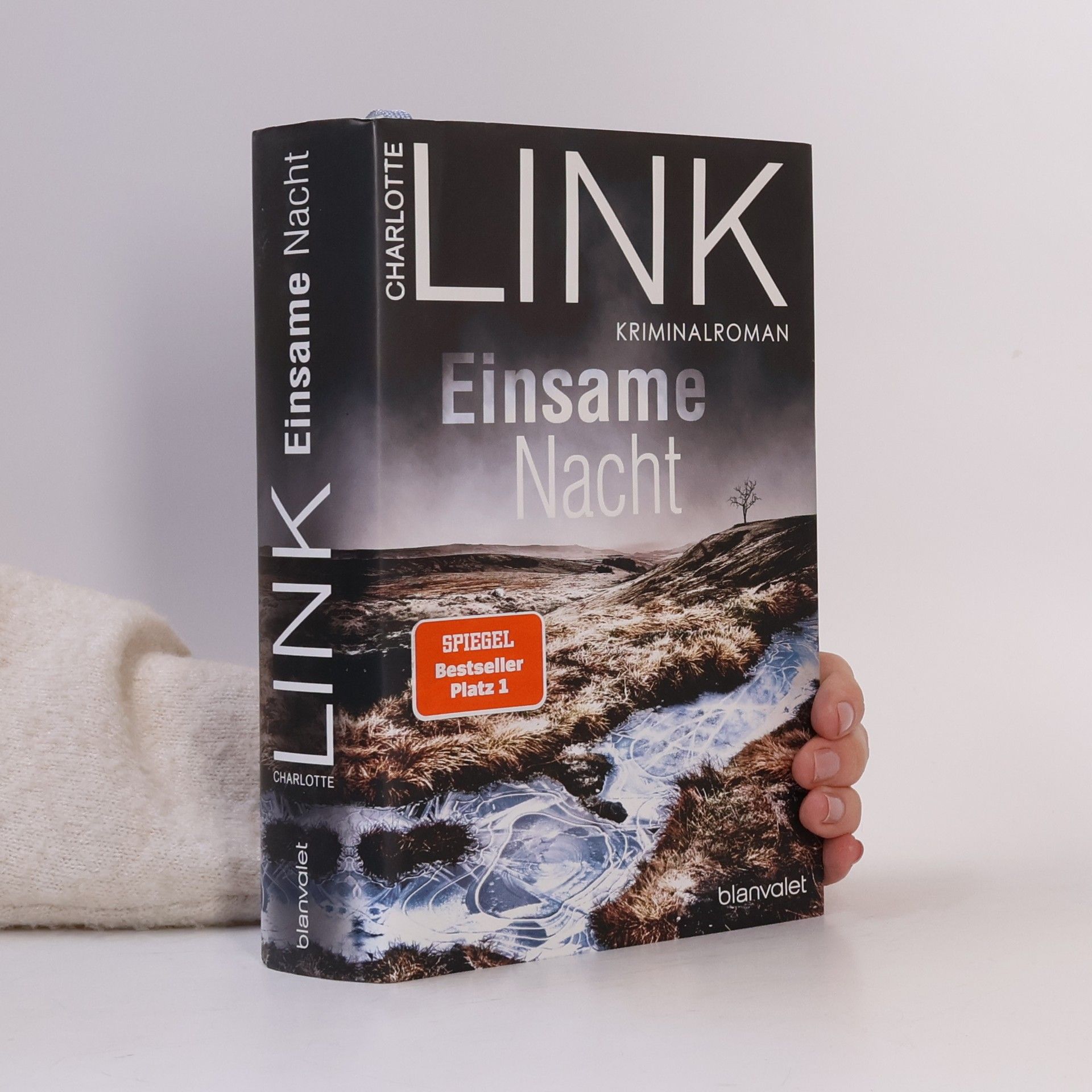 Charlotte Link Einsame Nacht