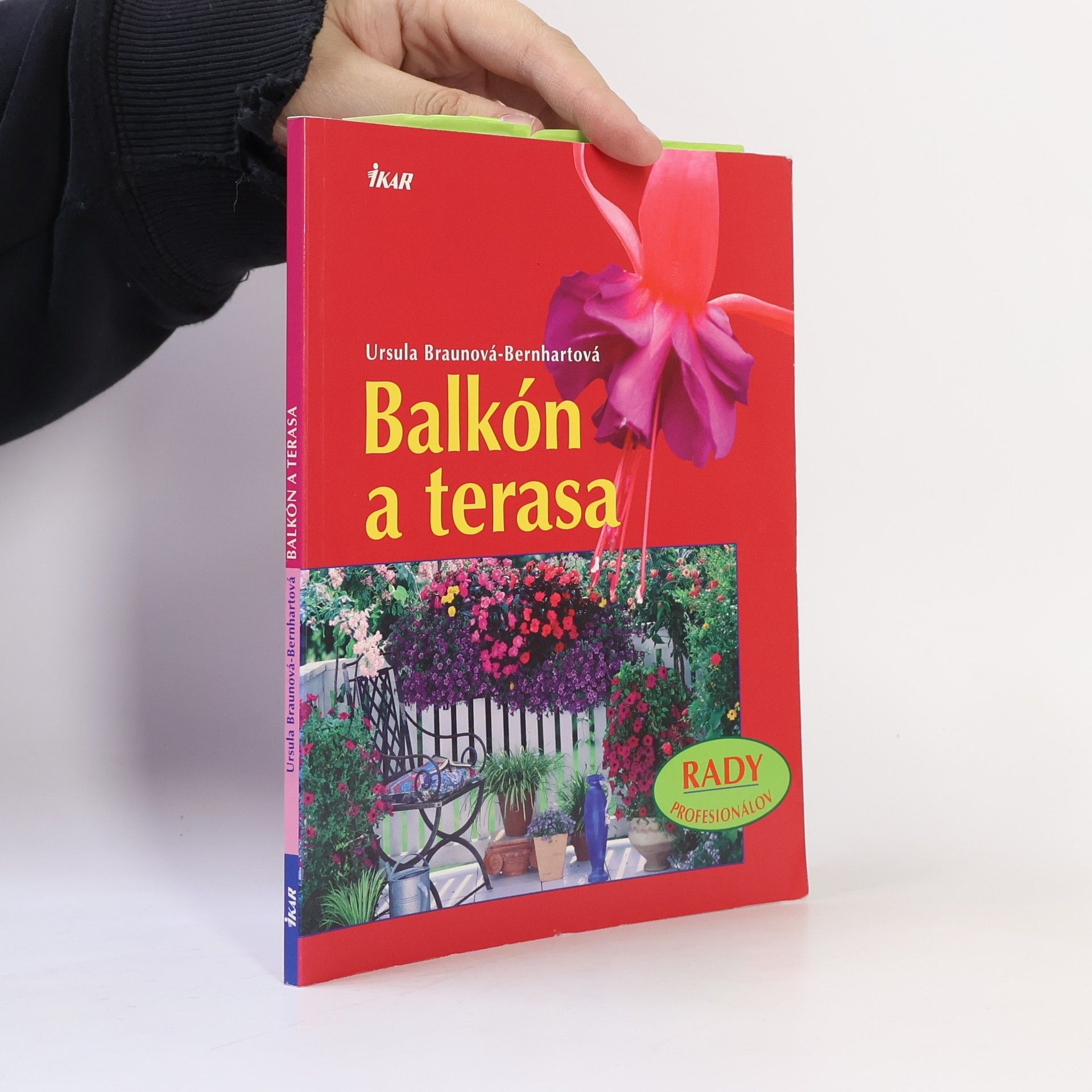 Ursula BraunBernhart Balkón a terasa