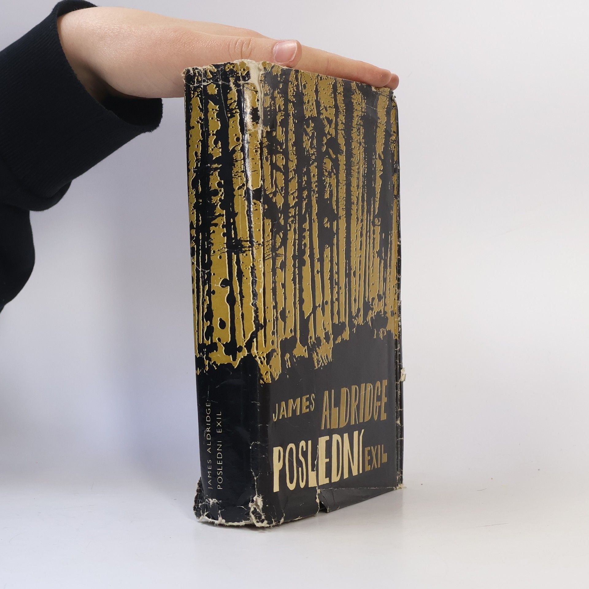 James Aldridge Poslední exil