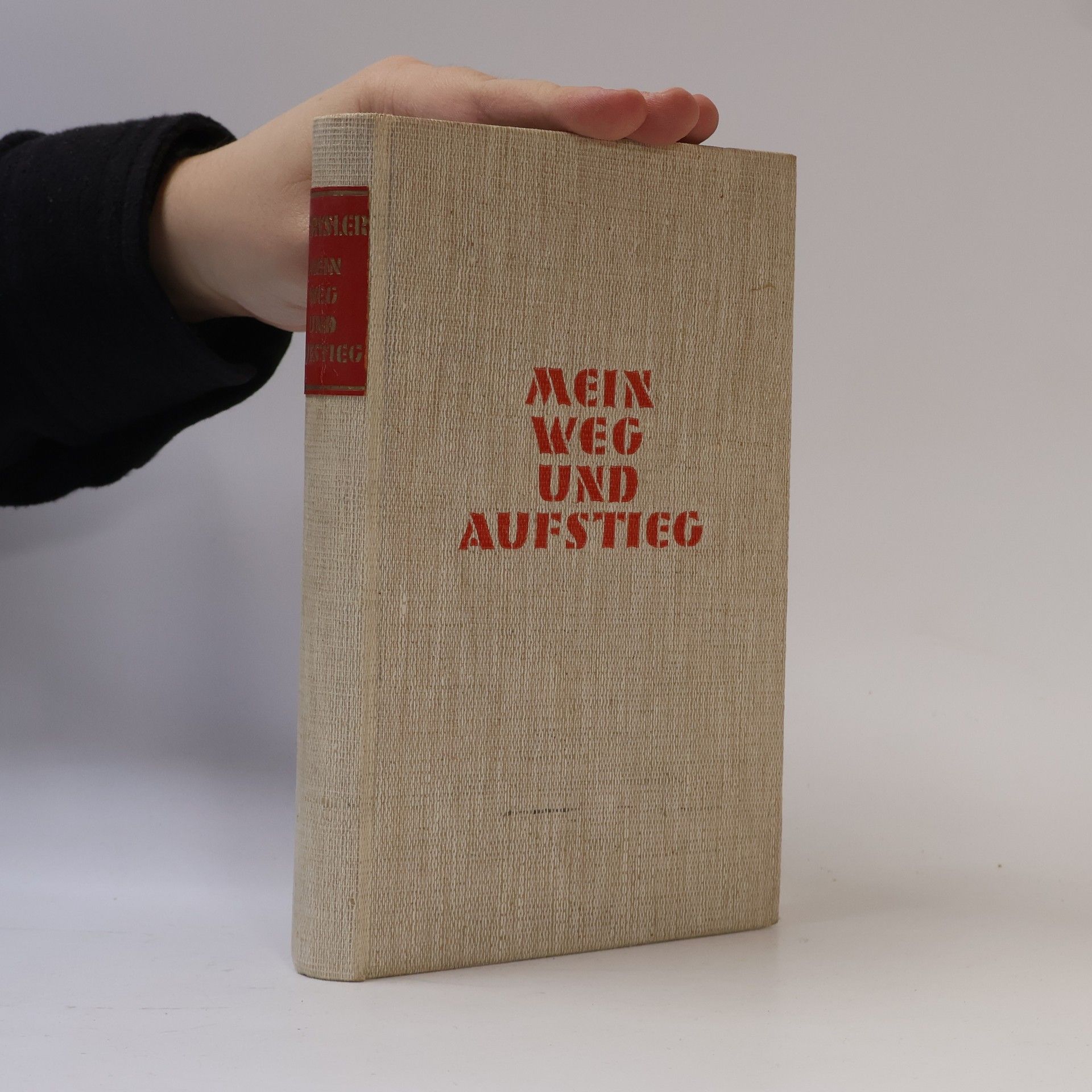 Walter P. Chrysler Mein Weg und Aufstieg