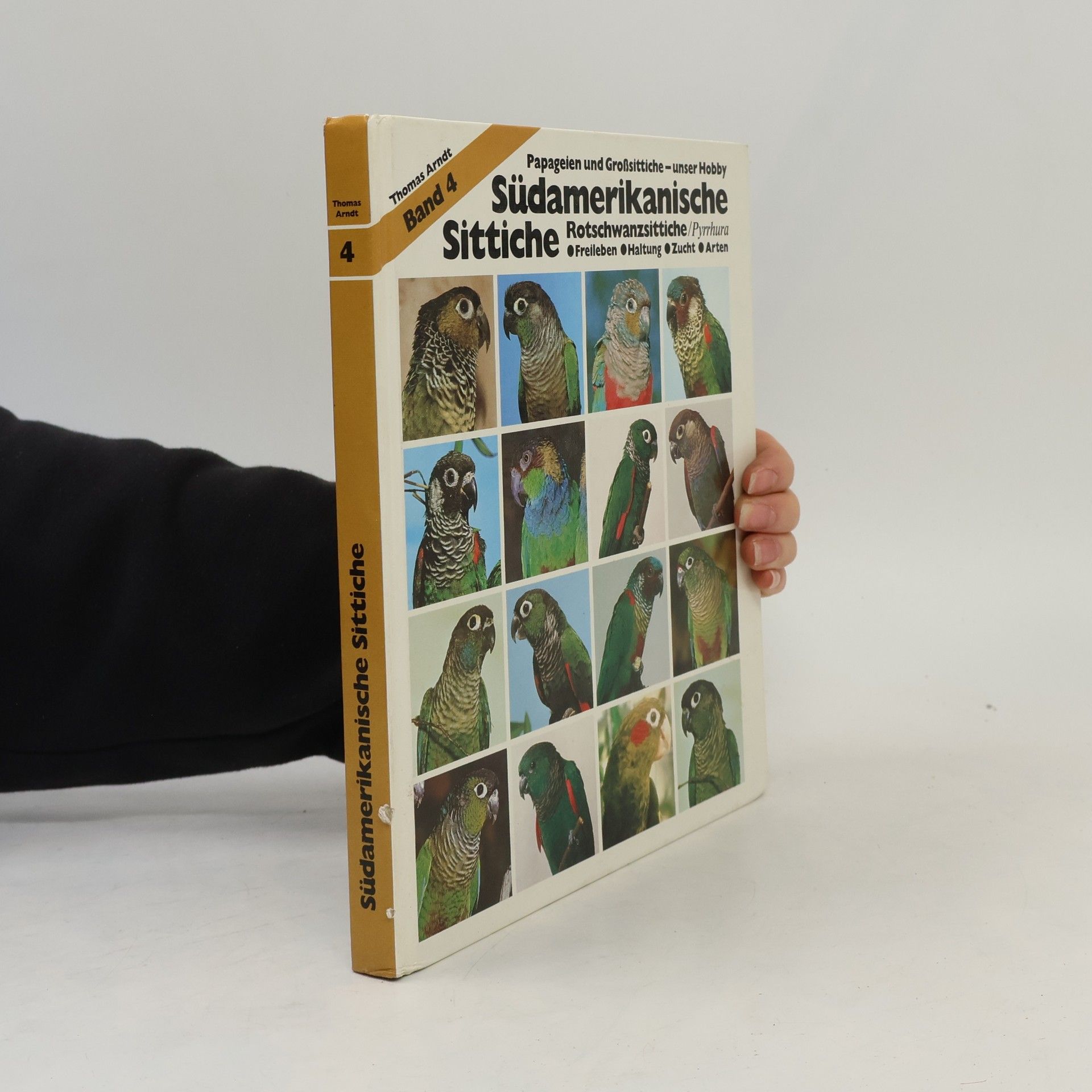 Südamerikanische Sittiche. Rotschwanzsittiche