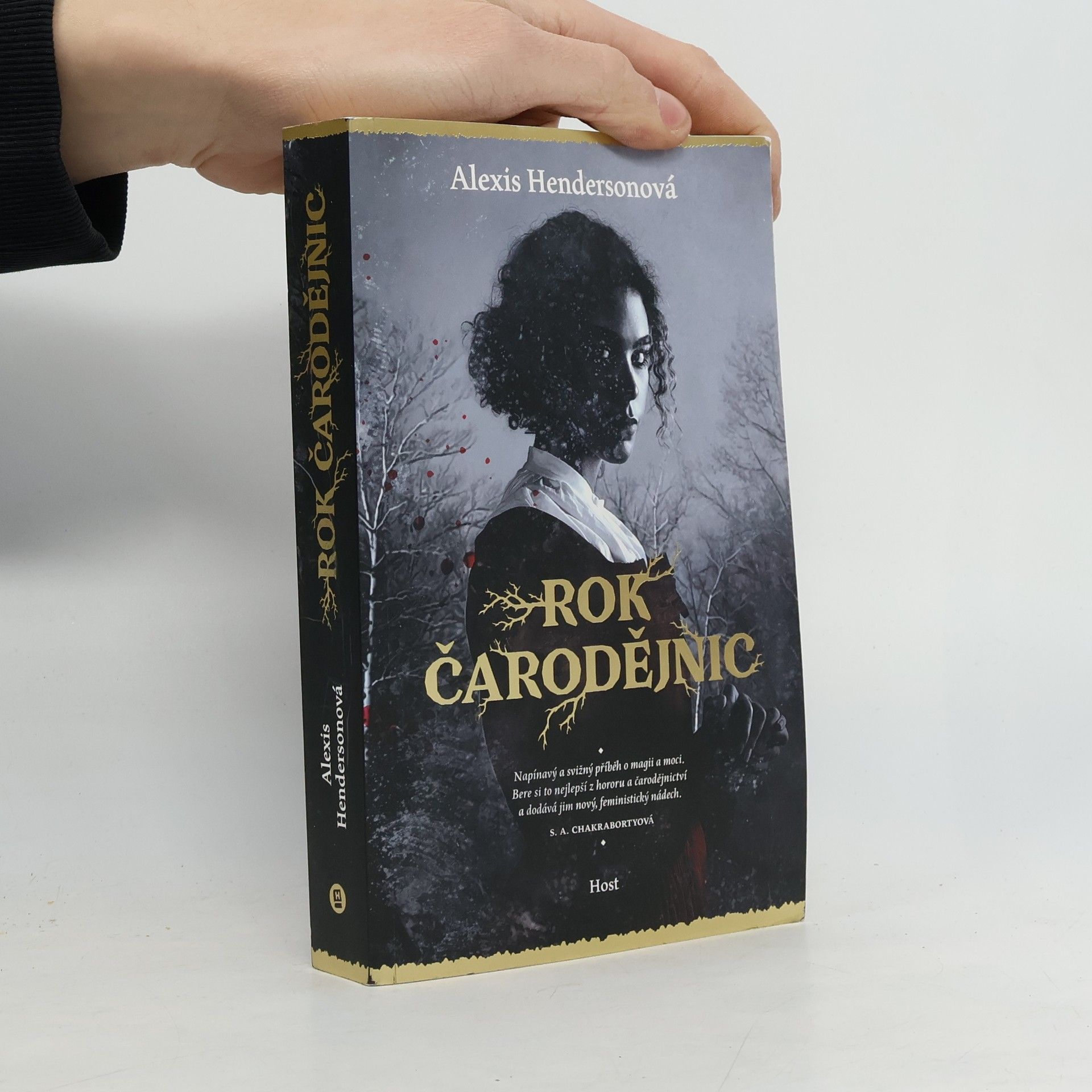 Alexis Henderson Rok čarodějnic
