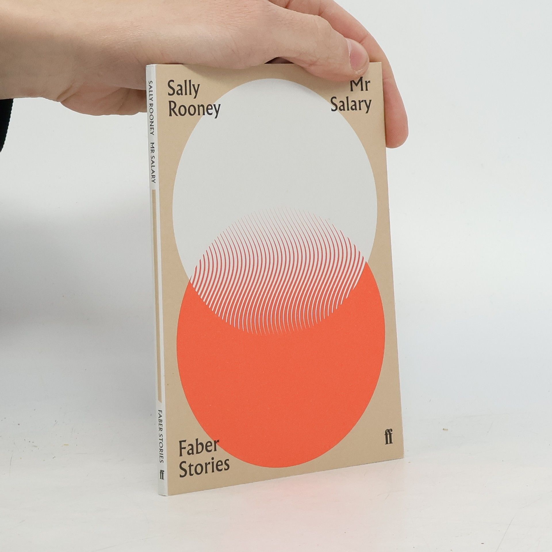 Sally Rooney Mr Salary