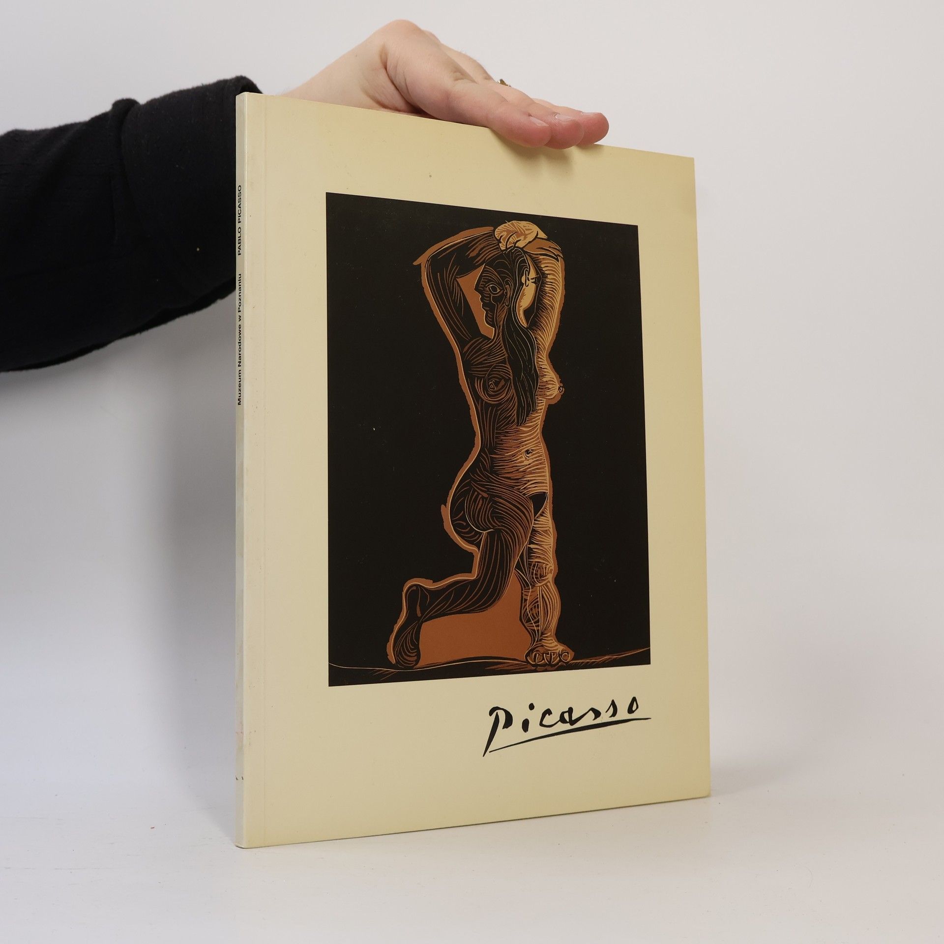 Collectif d'auteurs Picasso