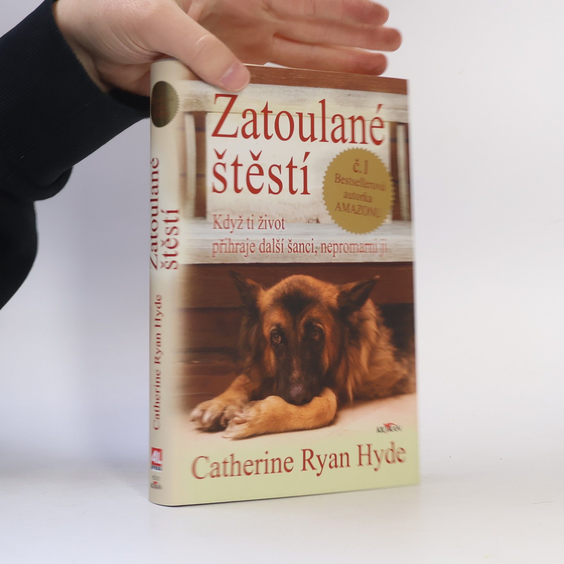 Zatoulané štěstí : když ti život přihraje další šanci, nepromarni ji