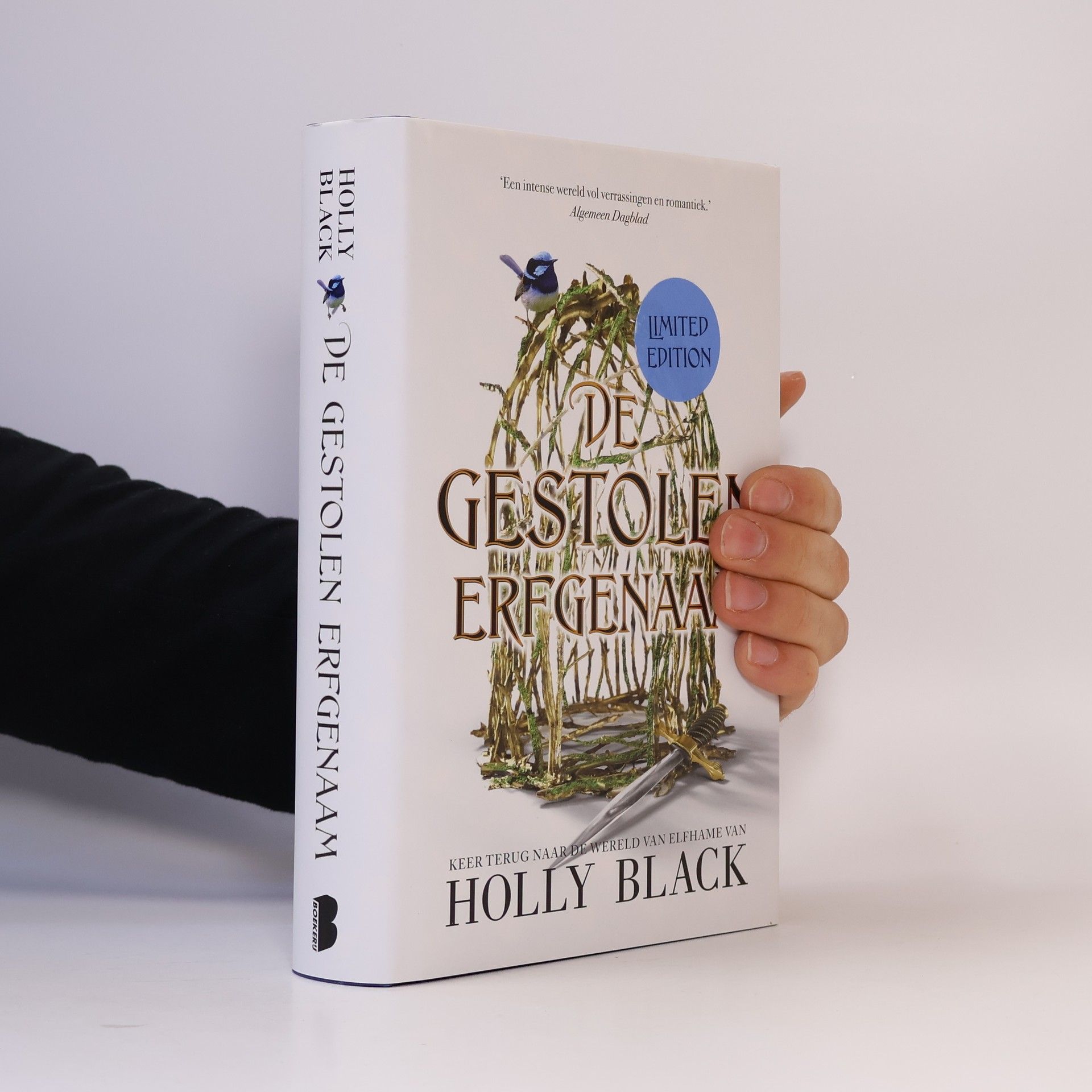 Anne-Marieke Buijs De gestolen erfgenaam