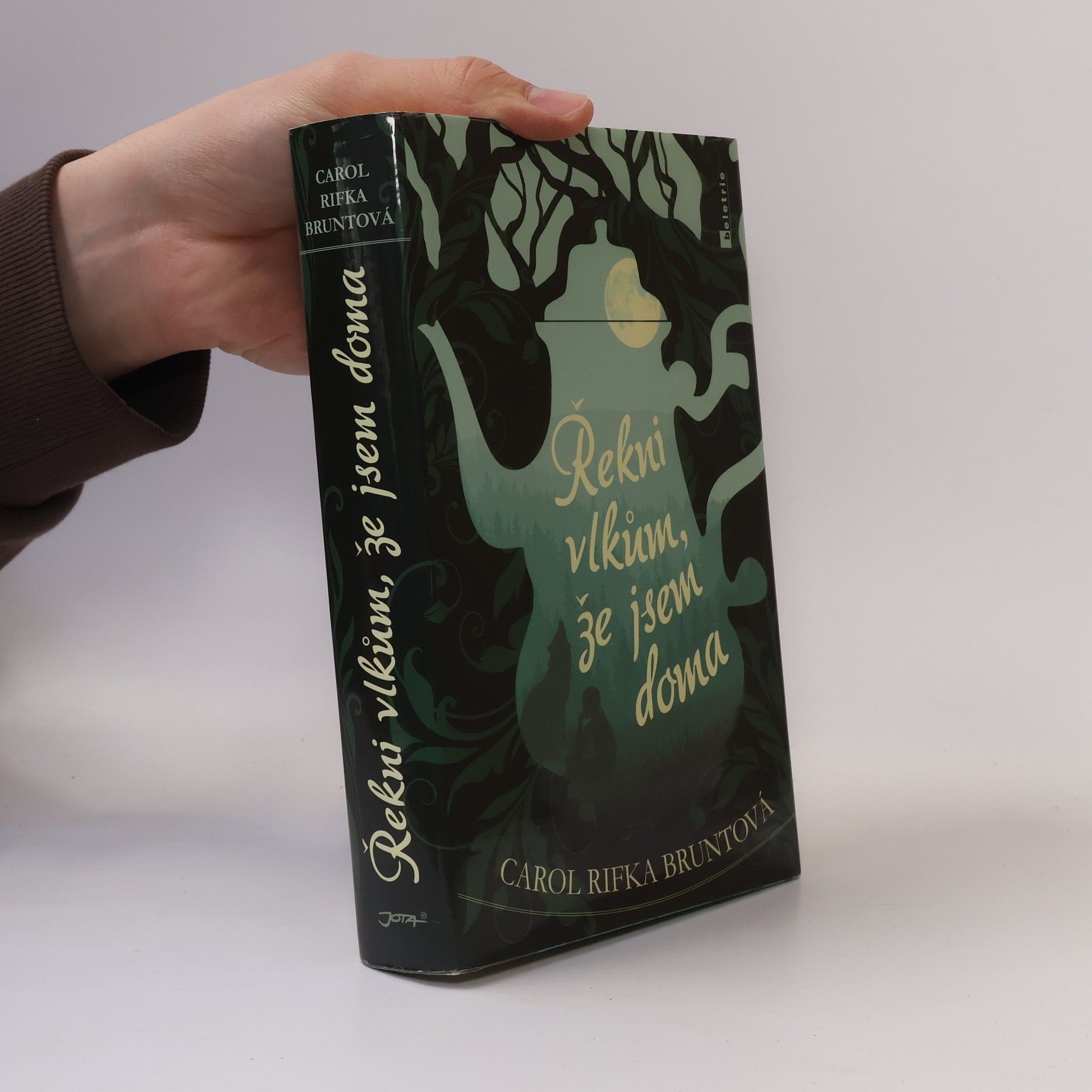 Carol Rifka Brunt Řekni vlkům, že jsem doma