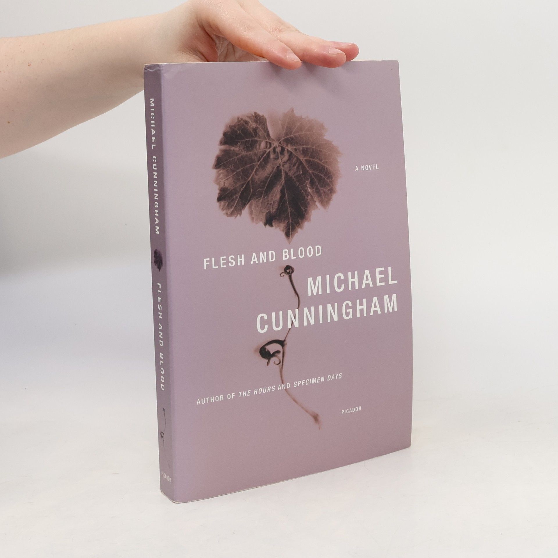 Michael Cunningham Flesh and Blood