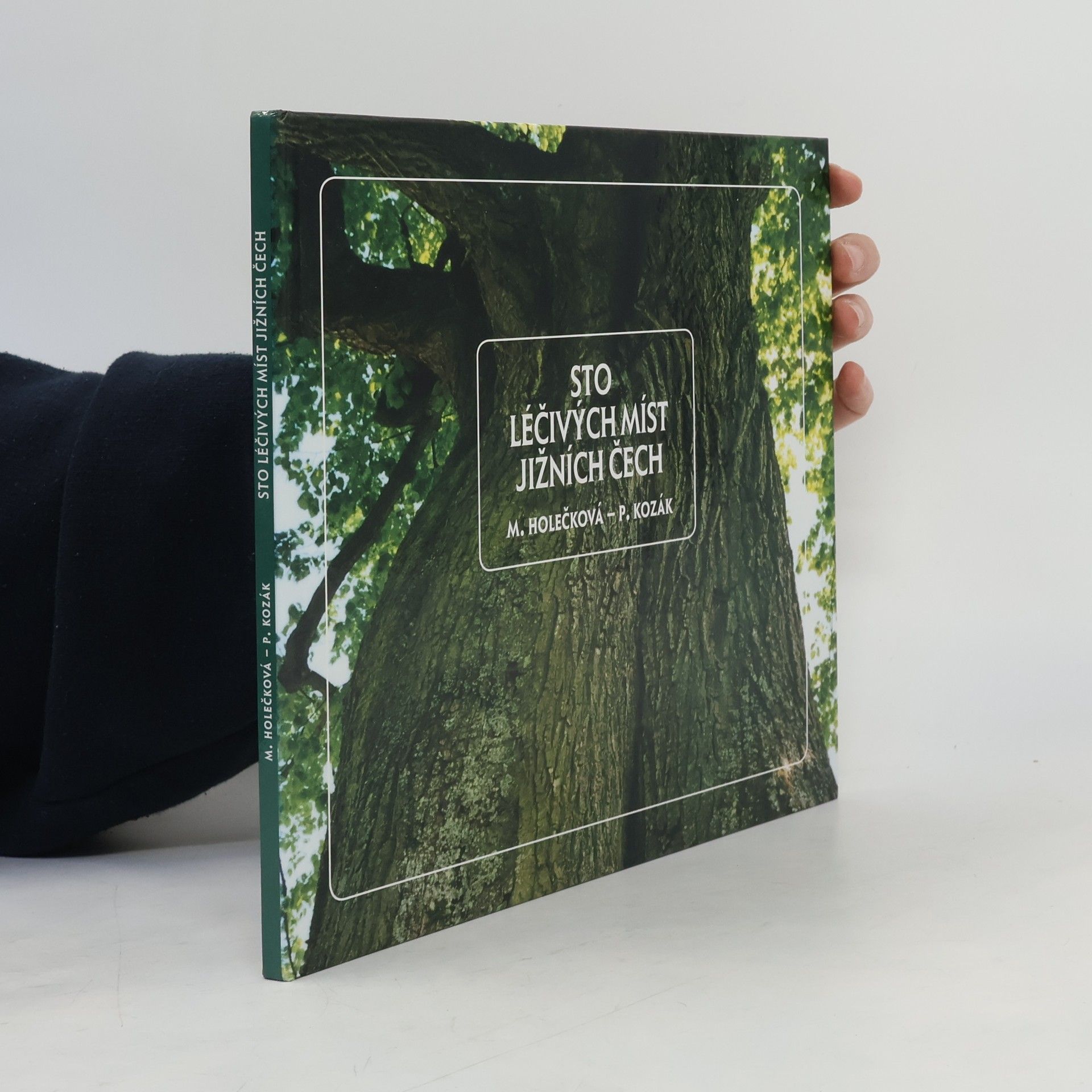 Pavel Kozák Sto léčivých míst jižních Čech