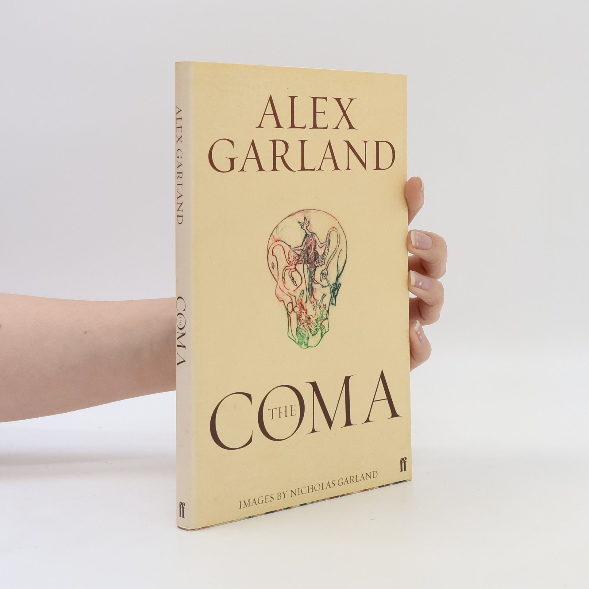 Alex Garland The Coma