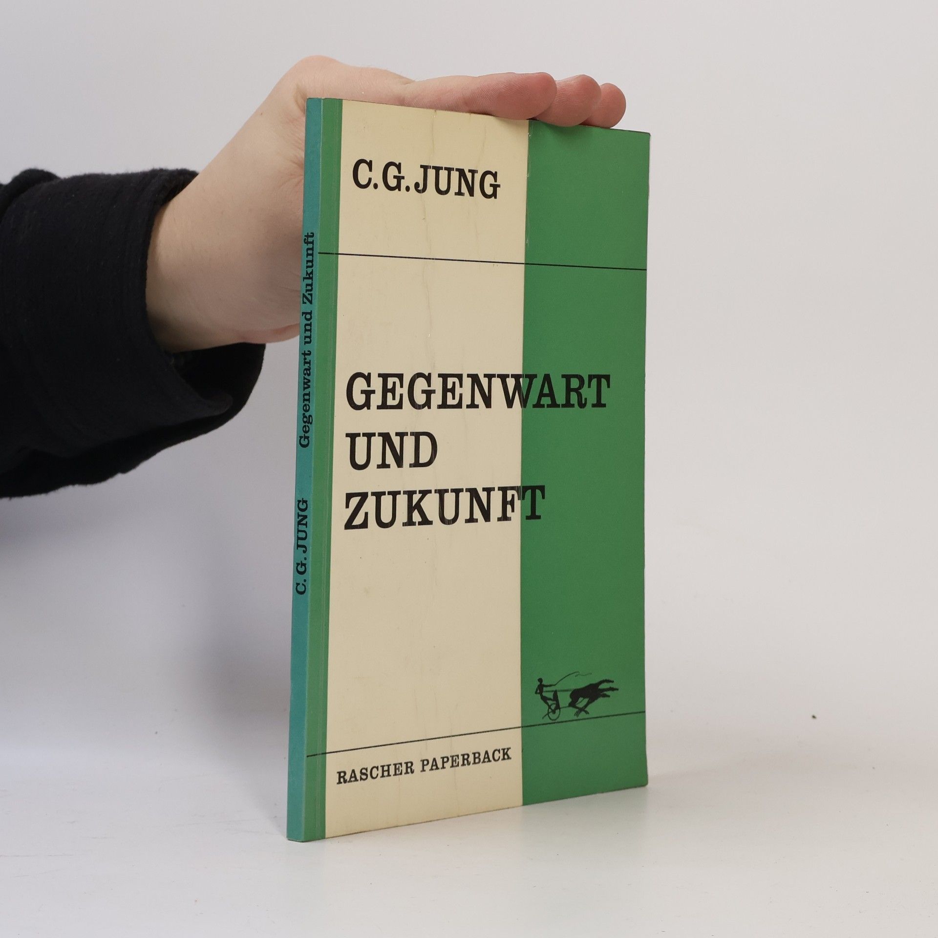 Carl Jung Gegenwart und Zukunft