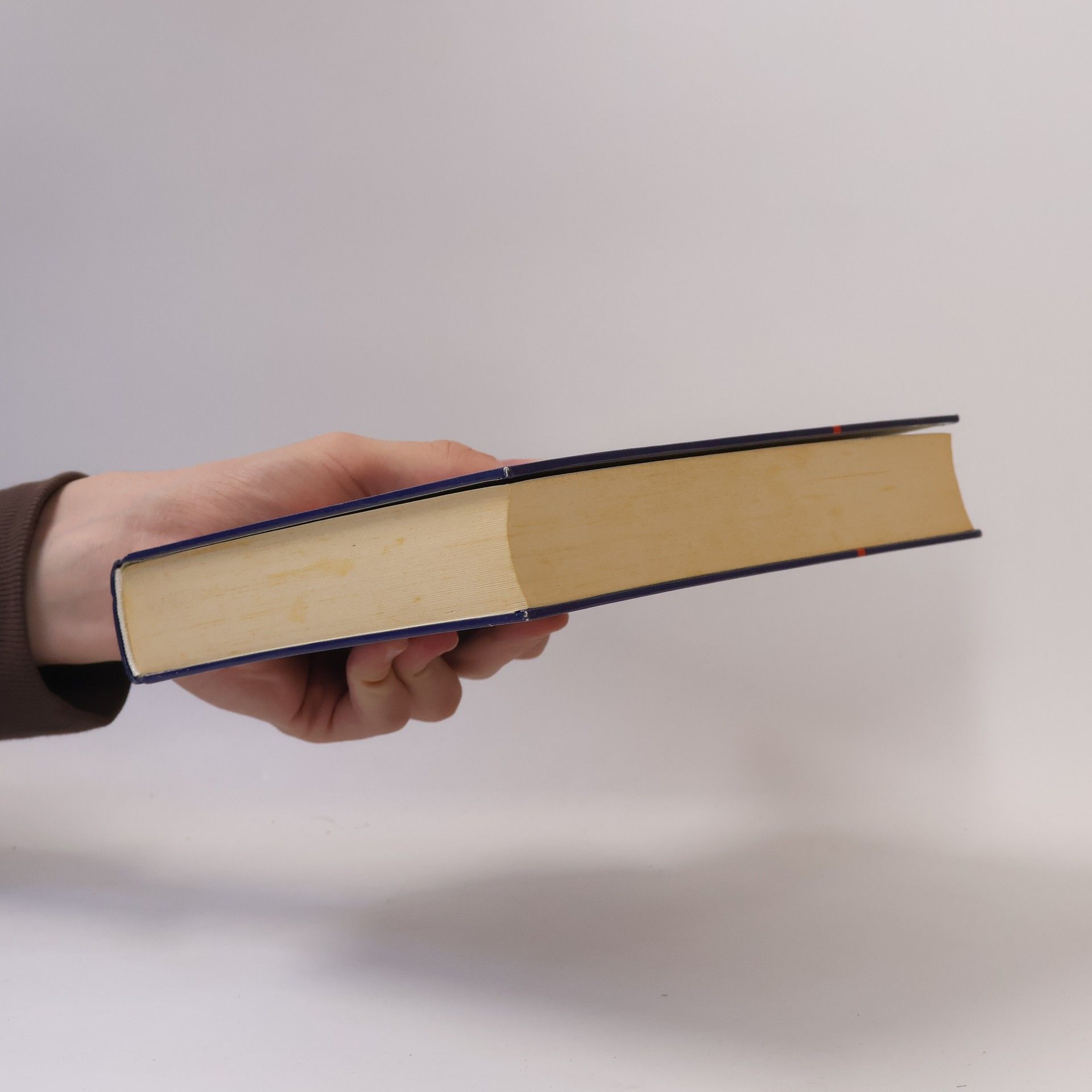 Ralf Labitzky Deutsches Wörterbuch, Fremdwörterbuch