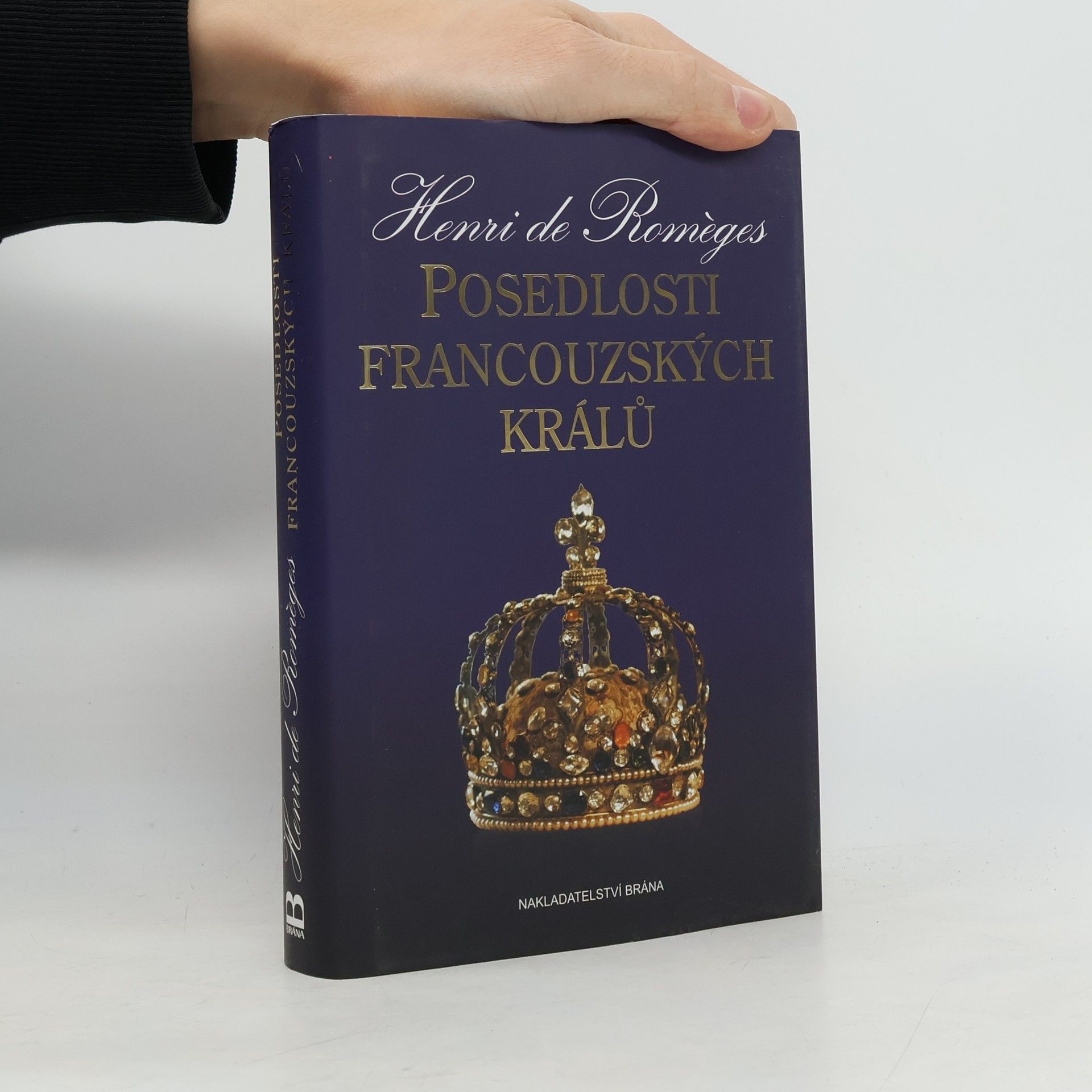 Henri de Romèges Posedlosti francouzských králů